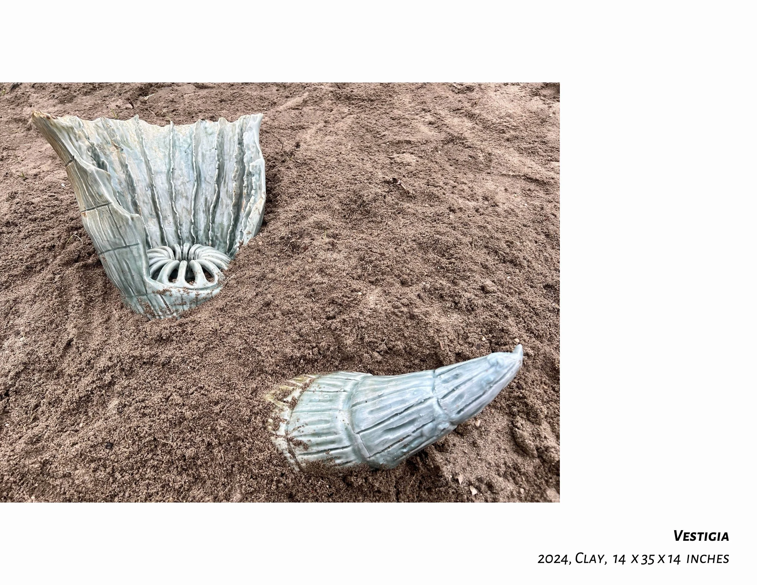 MFA Portfolio - Image 7_1.jpeg