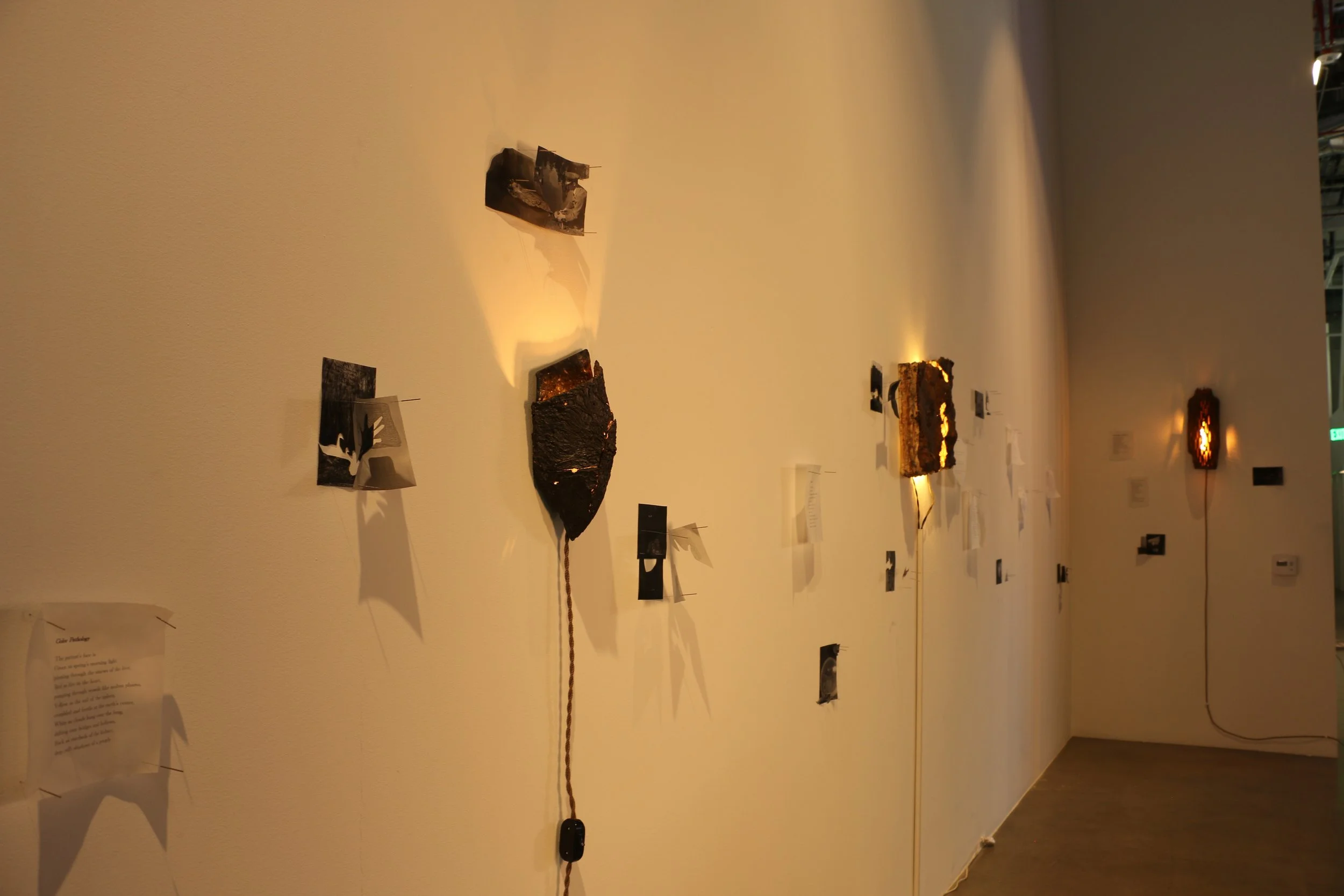 Faultline Lights.JPG