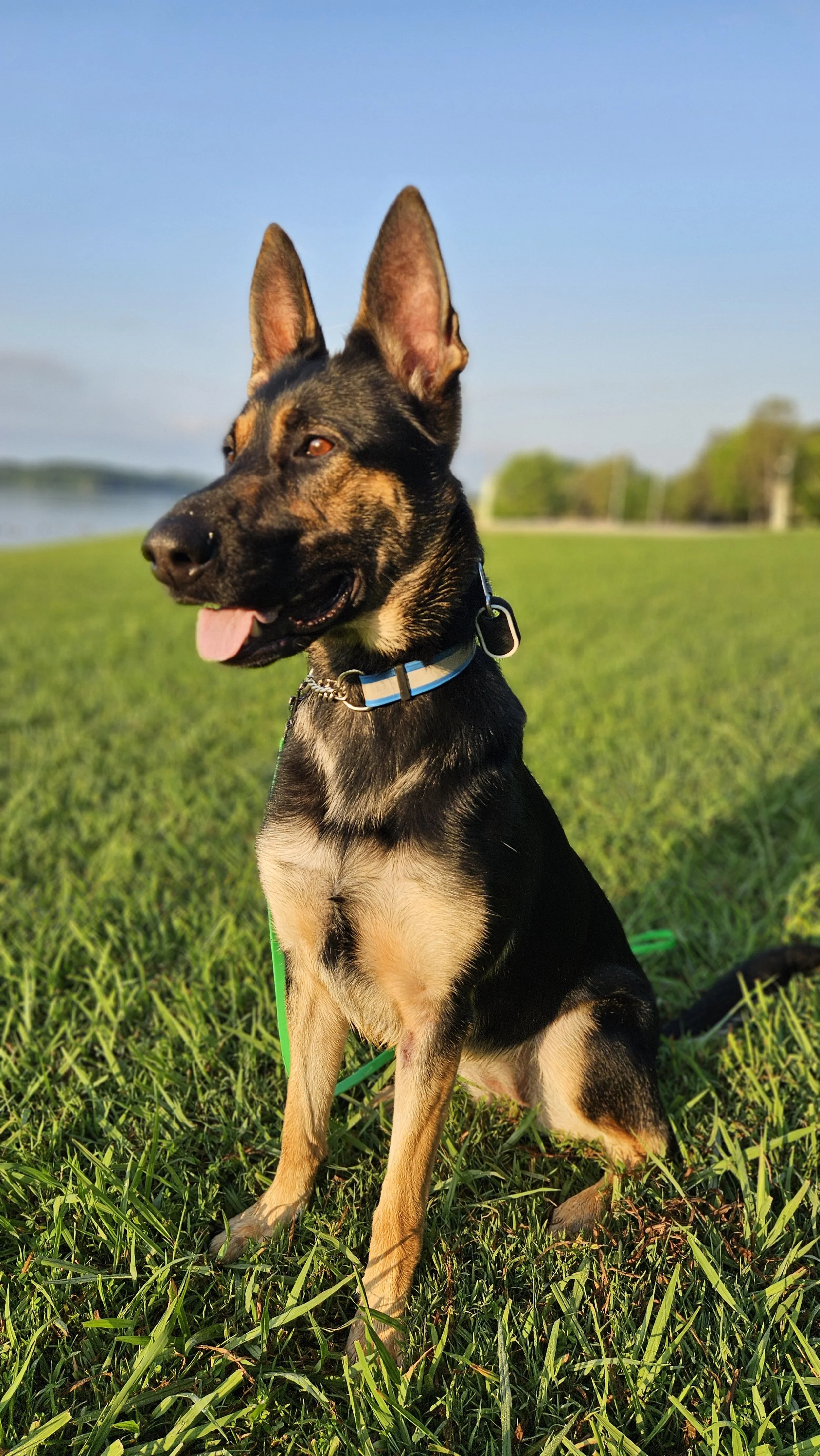 August 23rd Pack Walk