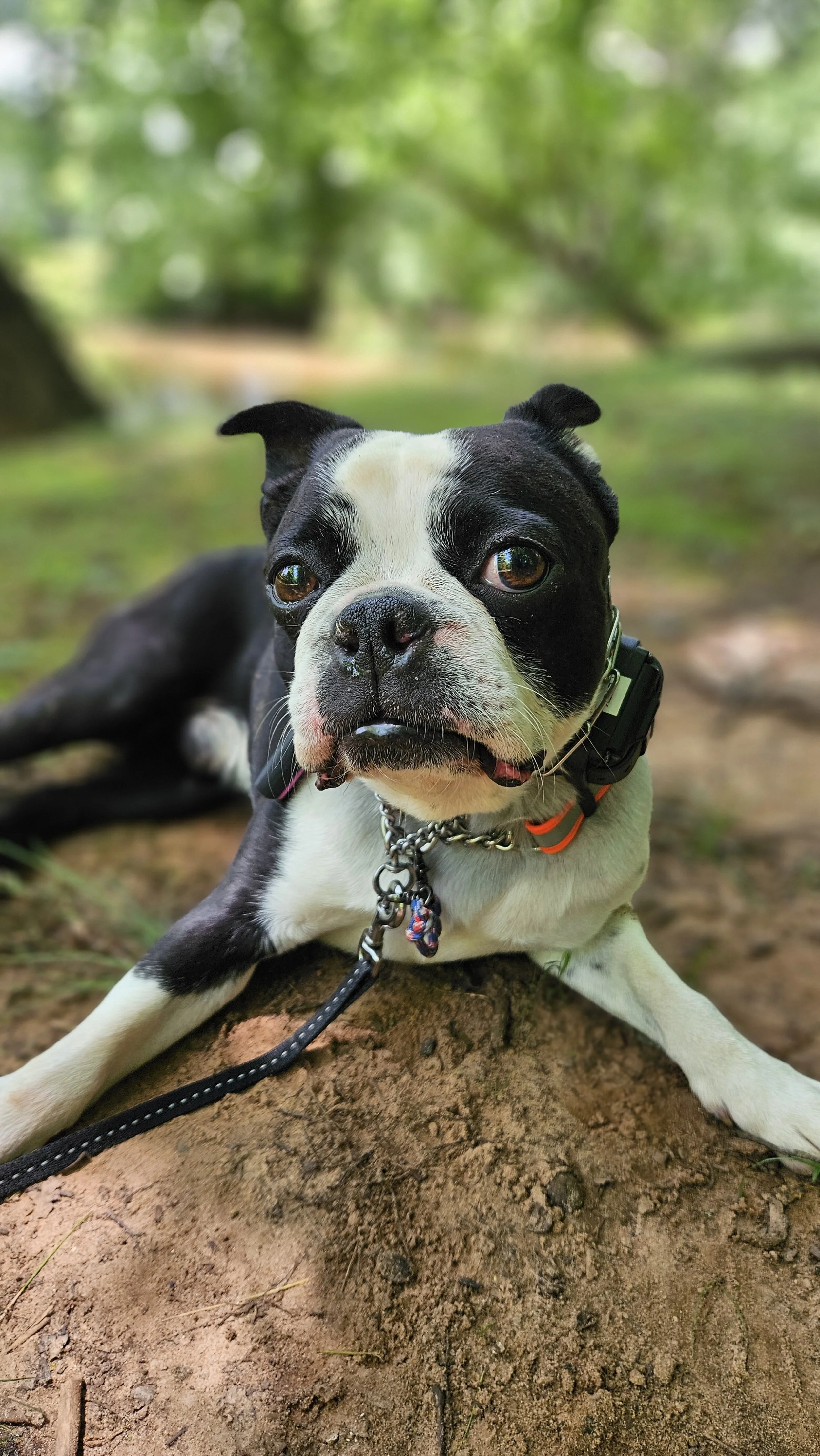 Greenway Pack Walk
