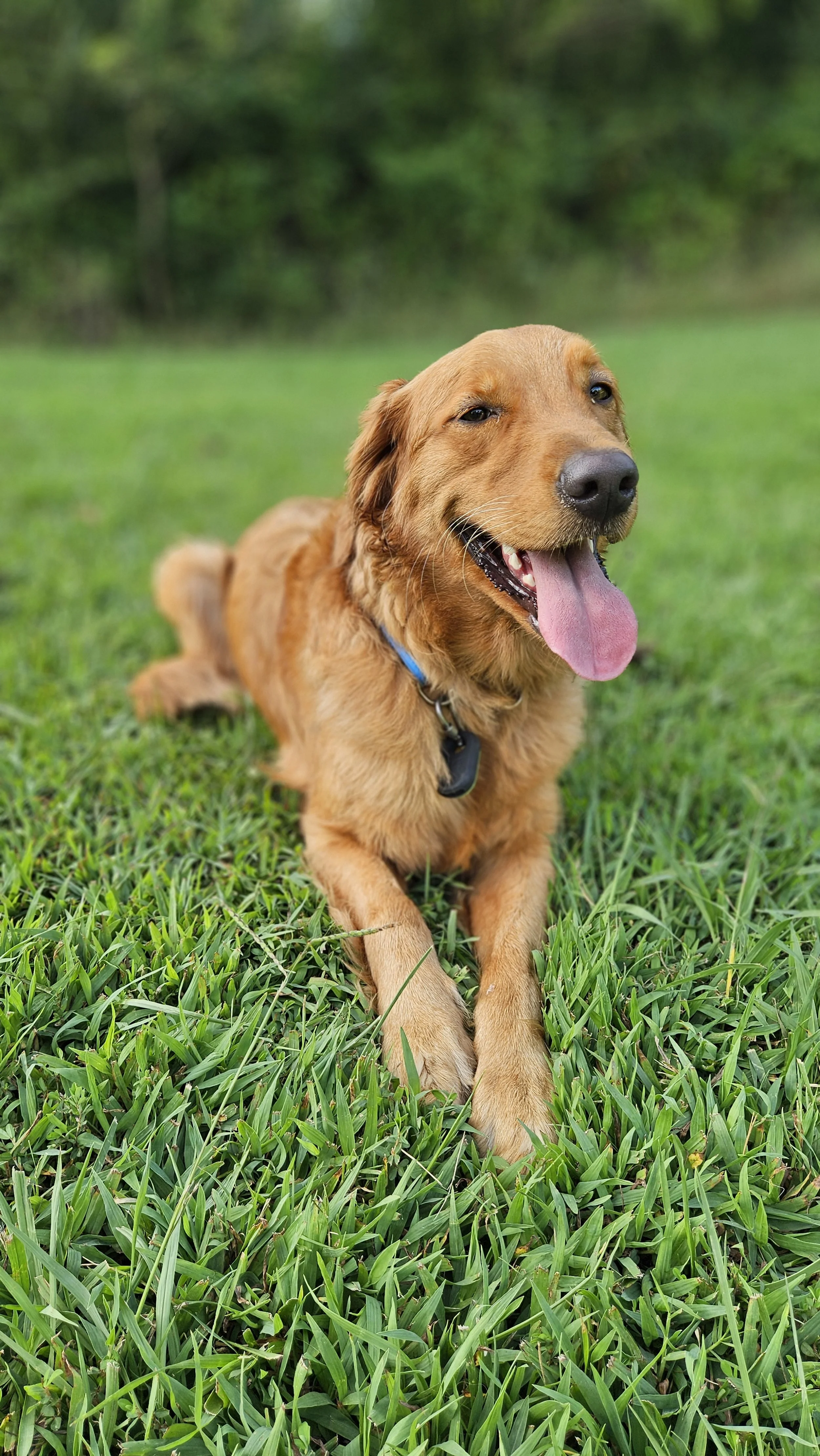 Pack Walk (Farragut) 