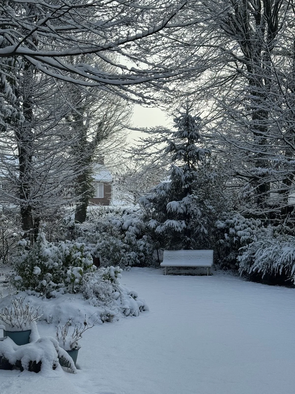 The Winter of your business 