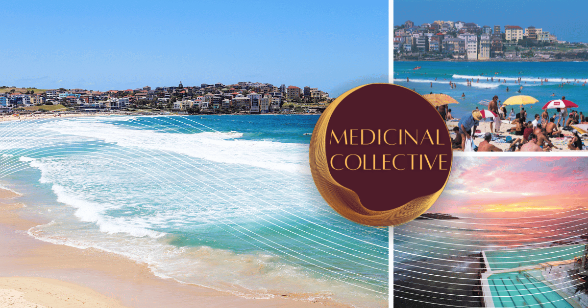 Bondi Beach Massage at Medicinal Collective Bondi Junction