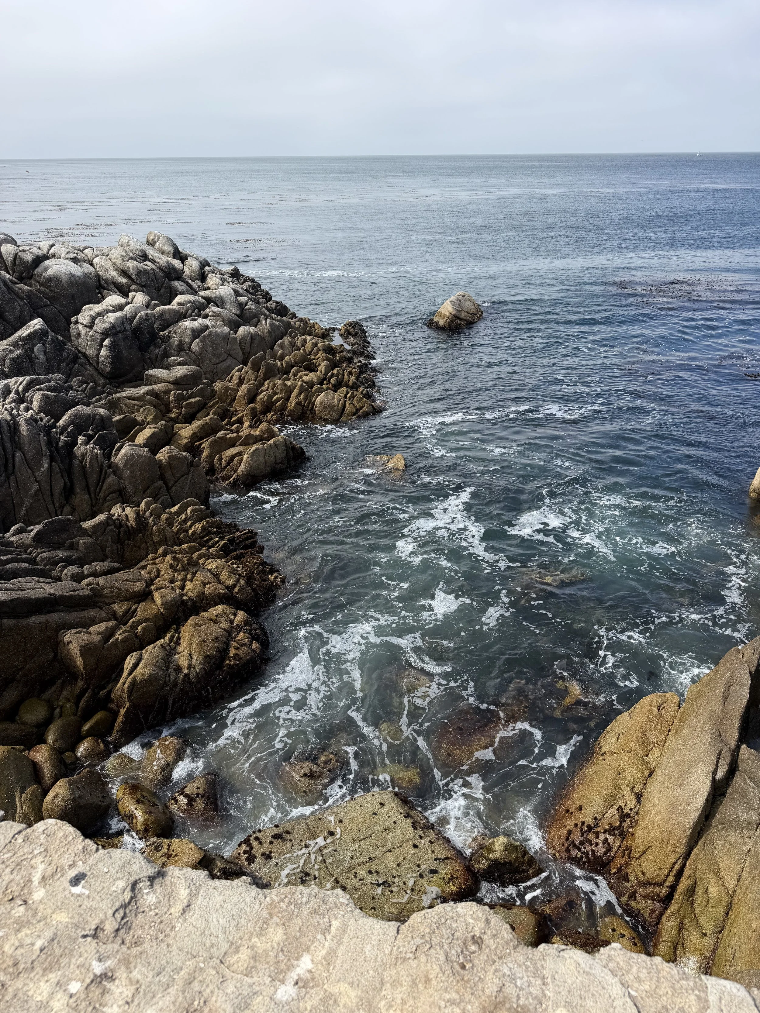 IMG_4020.jpeg