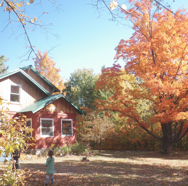 farmhouse_1.png