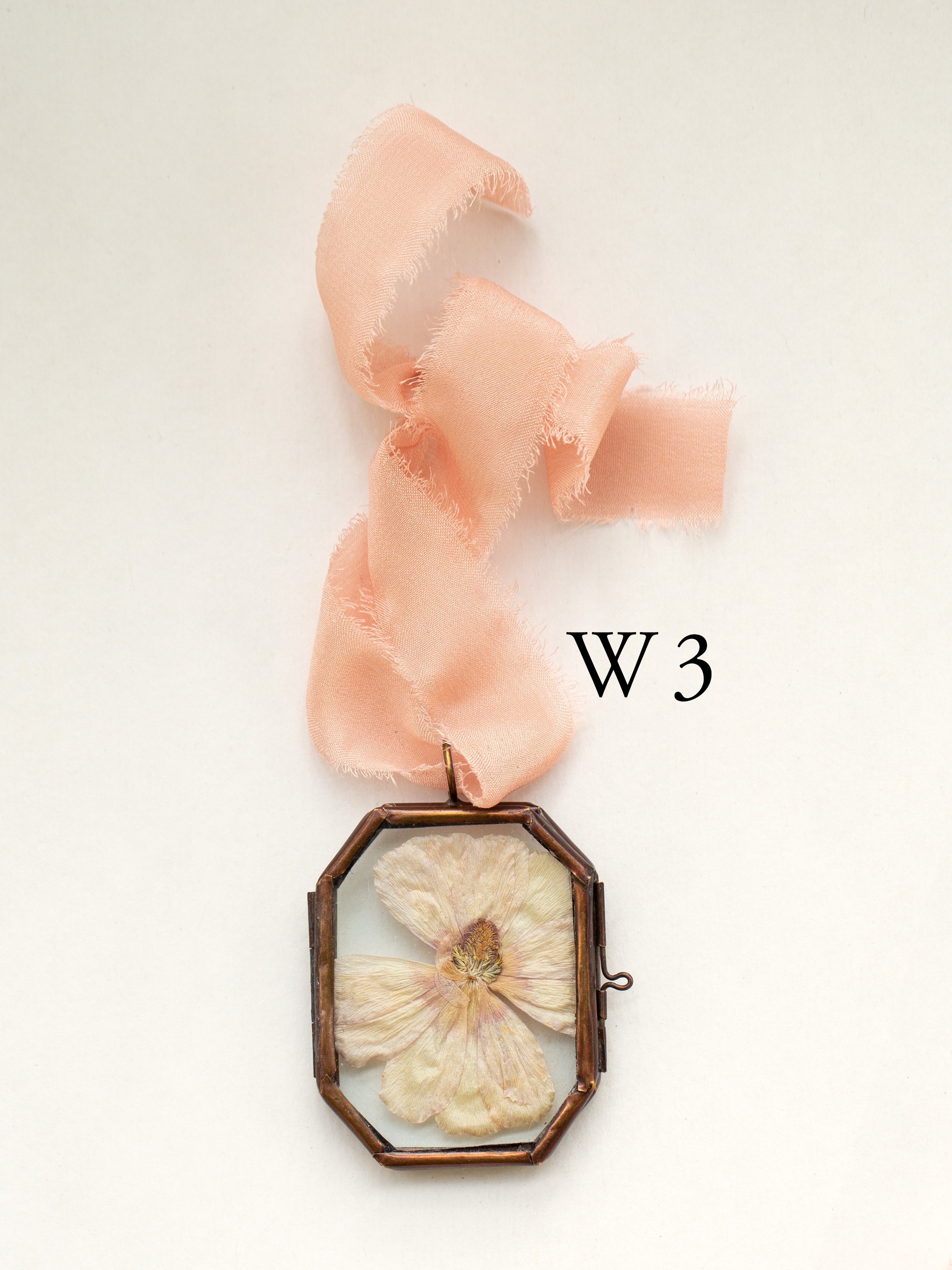 w3.jpg
