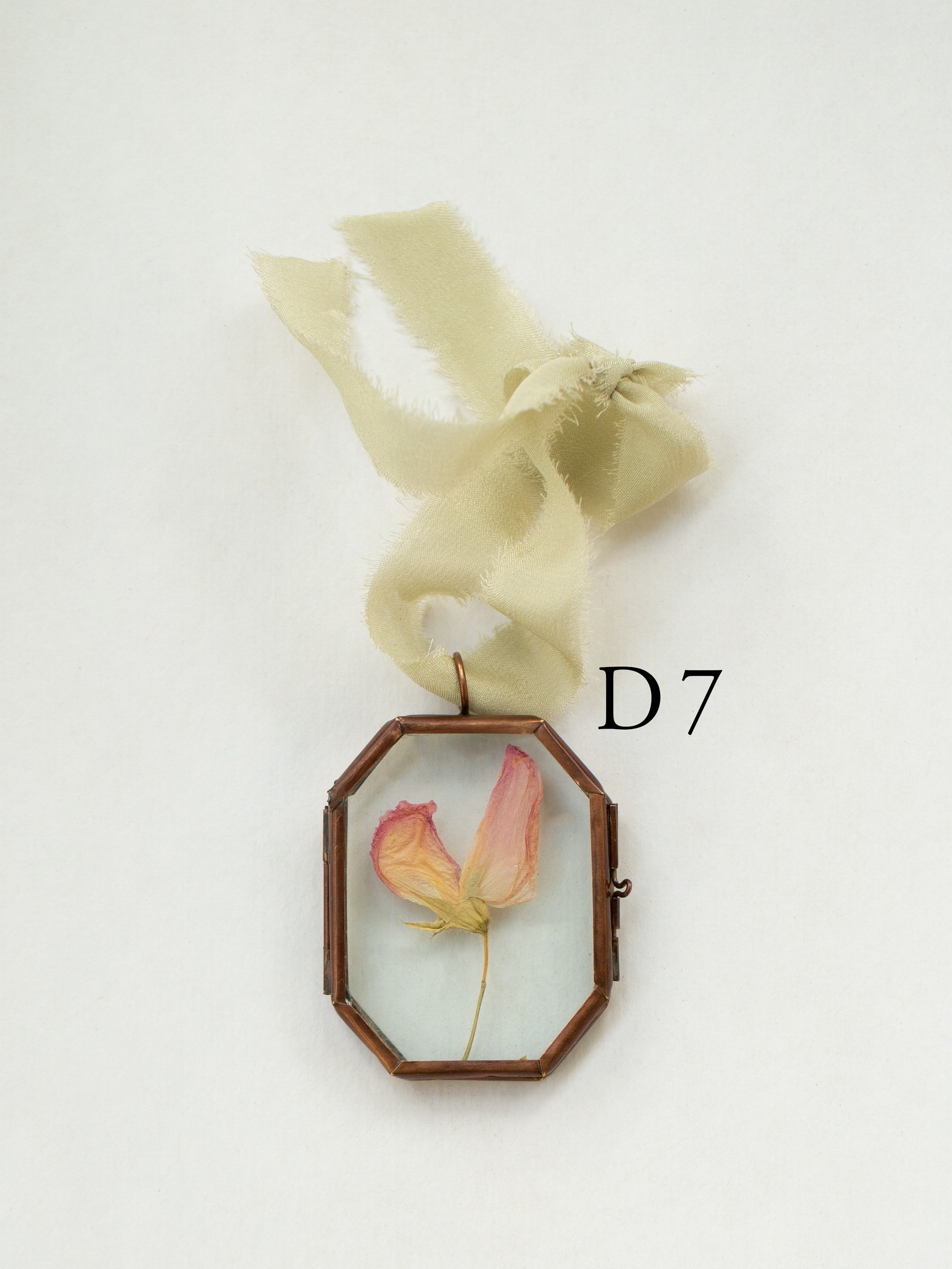 d7.jpg