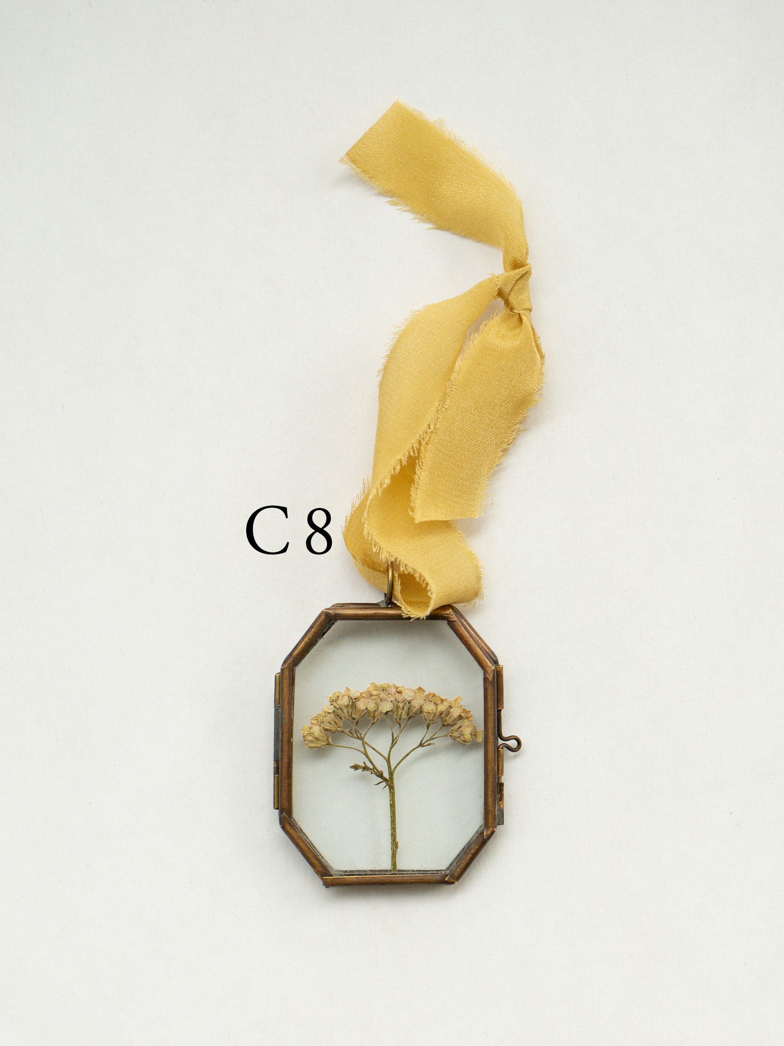 c8.jpg