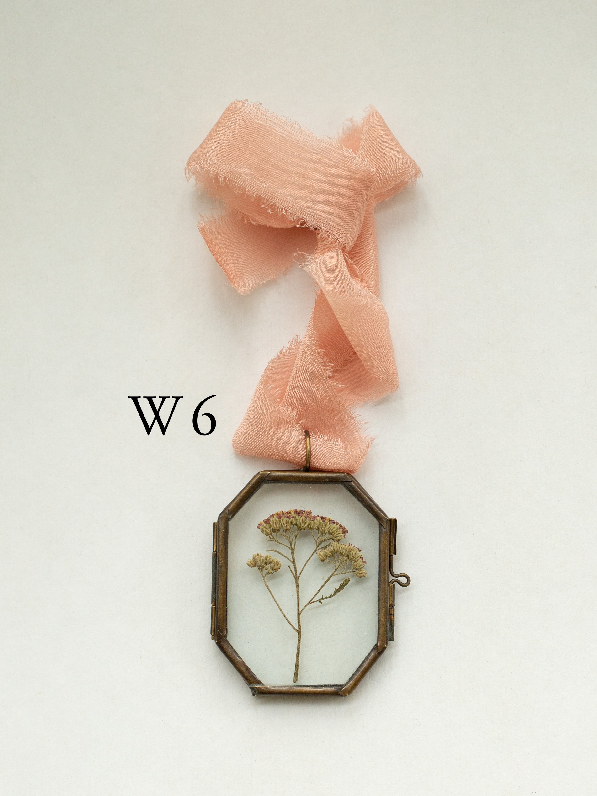 w6.jpg