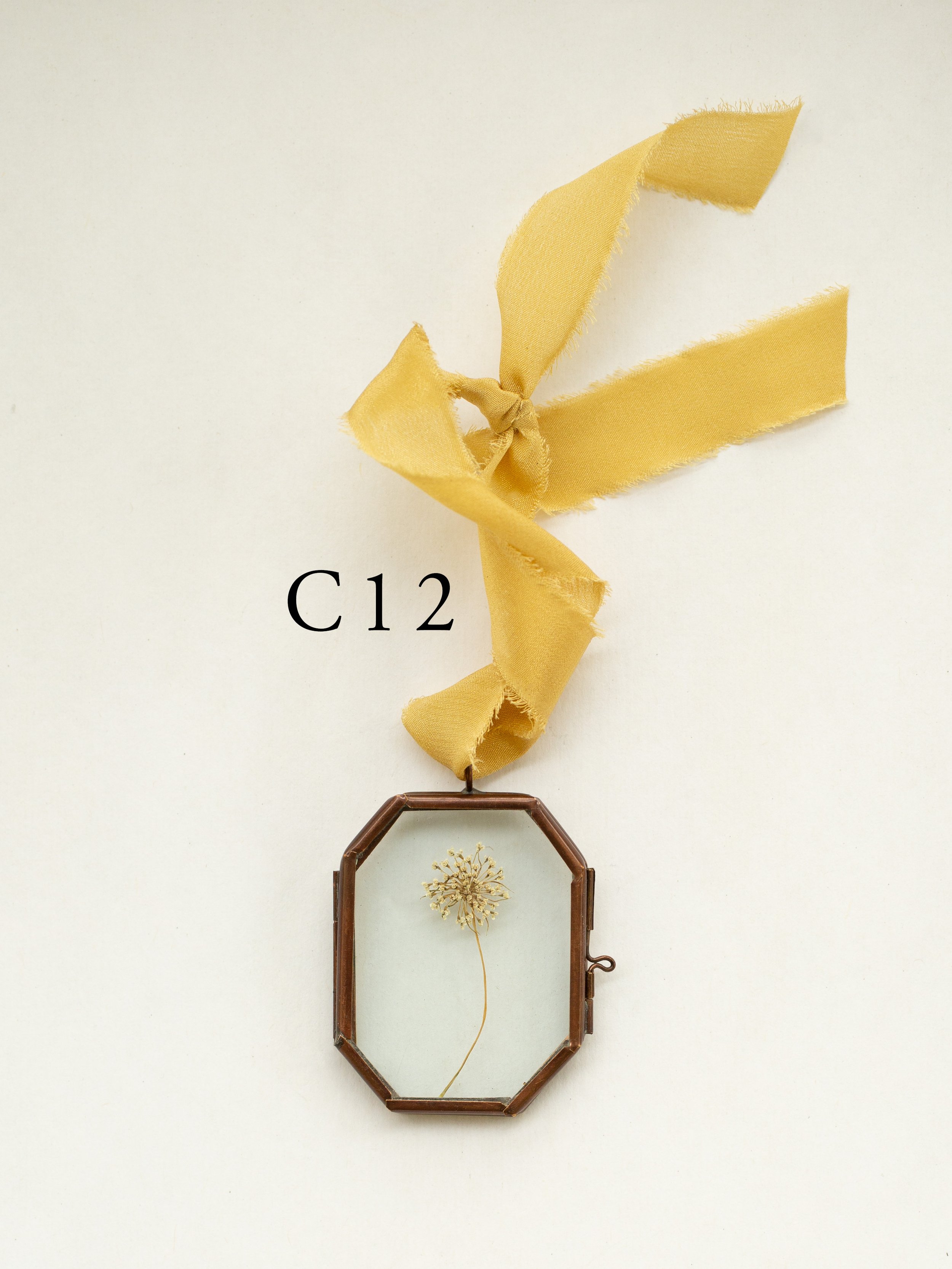 c12.jpg