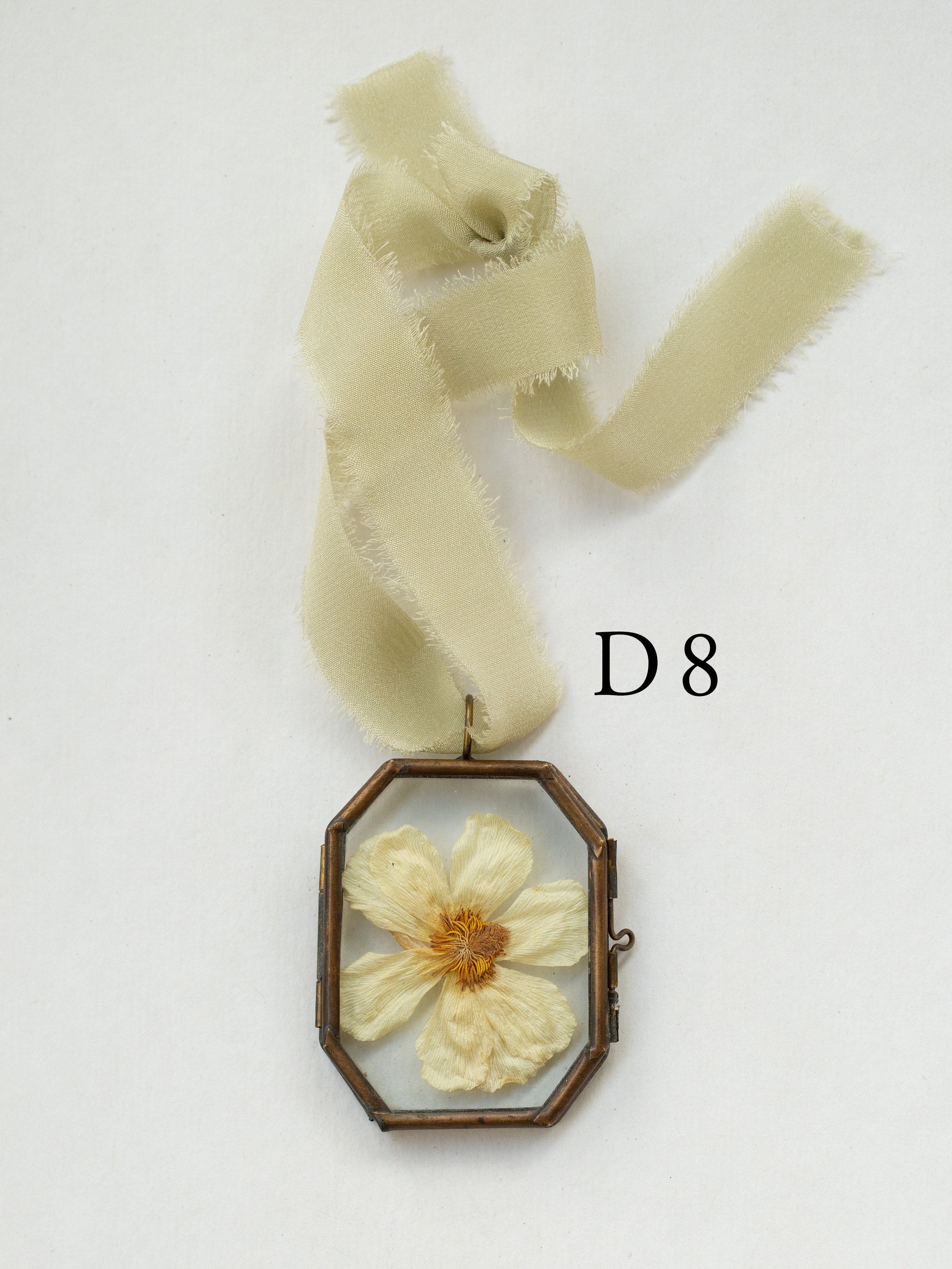 d8.jpg