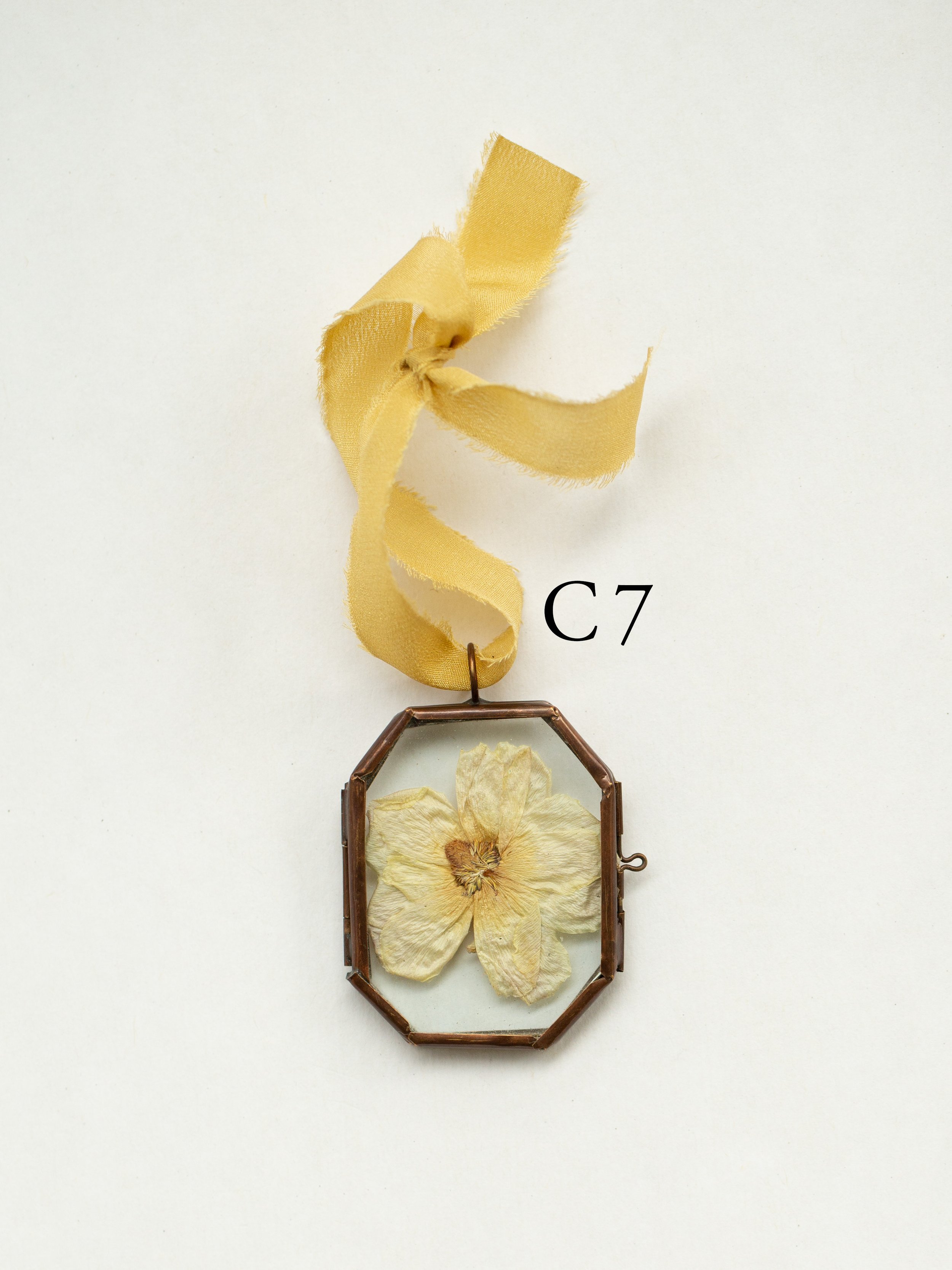 c7.jpg