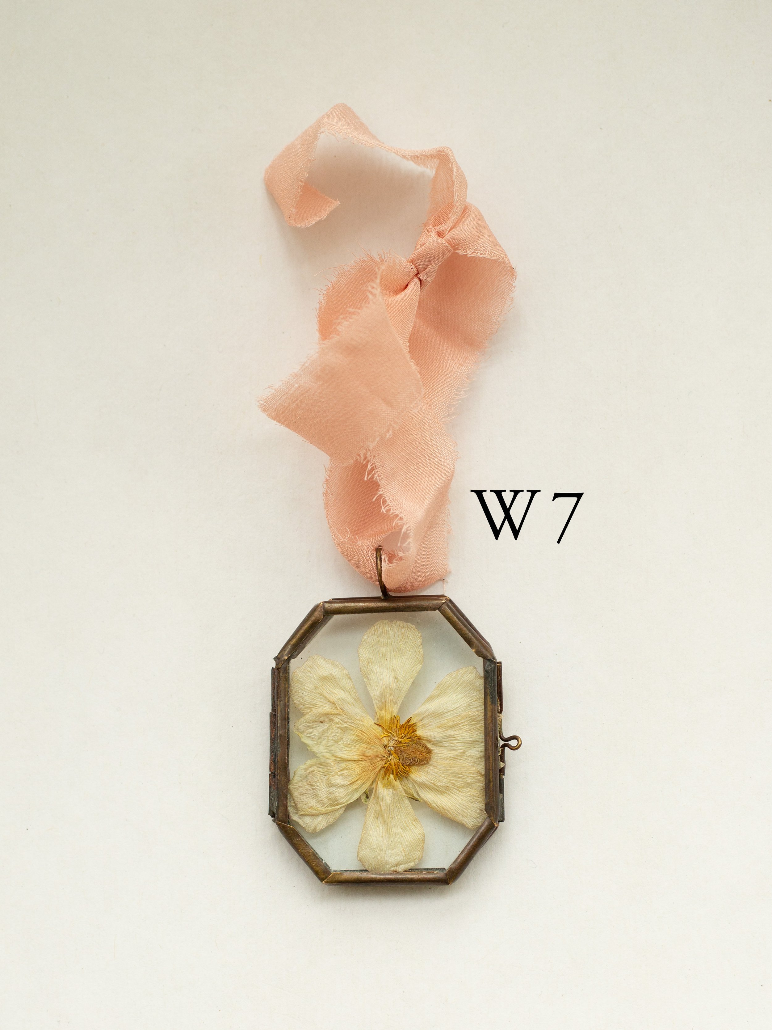 w7.jpg