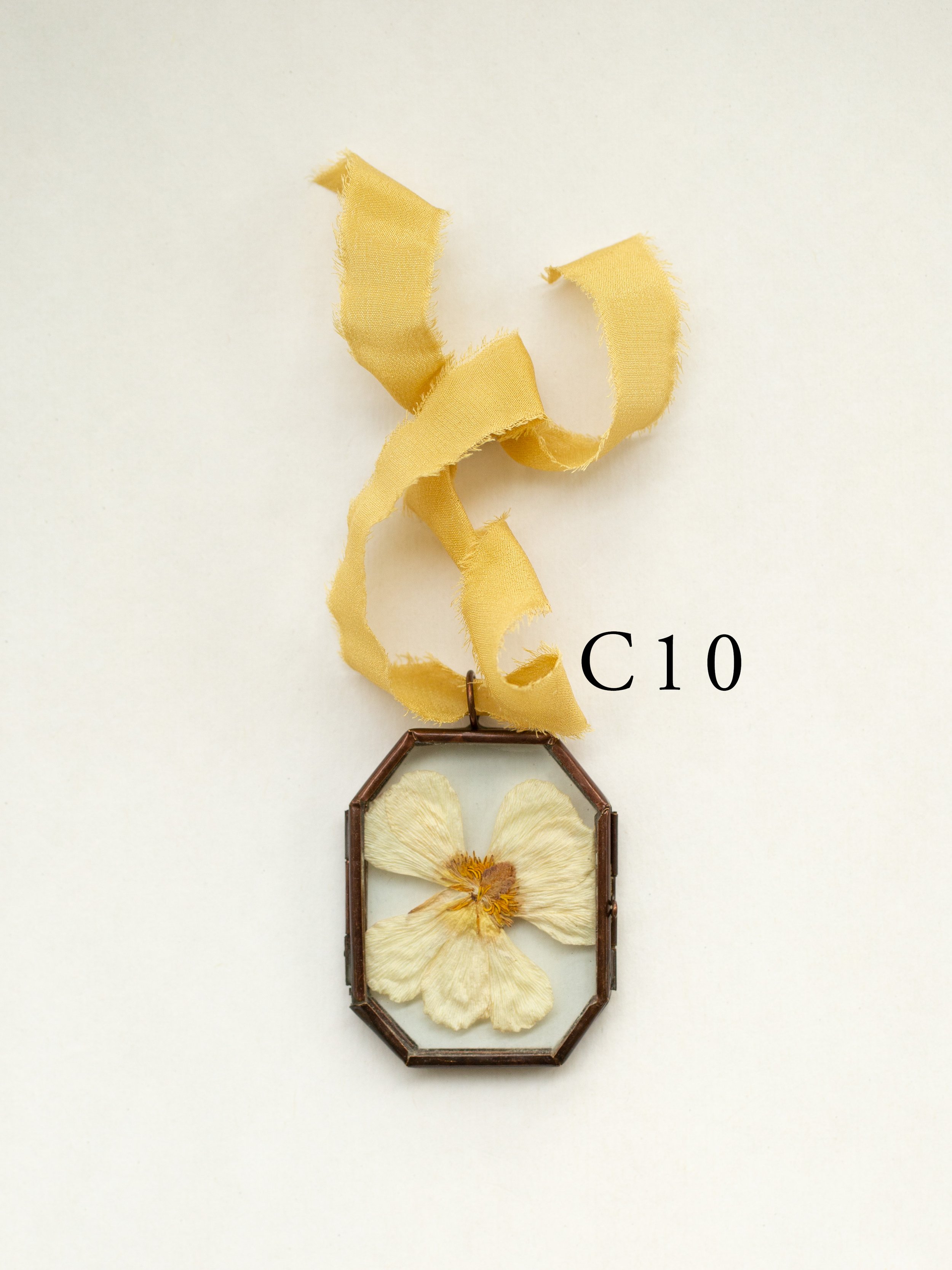 c10.jpg