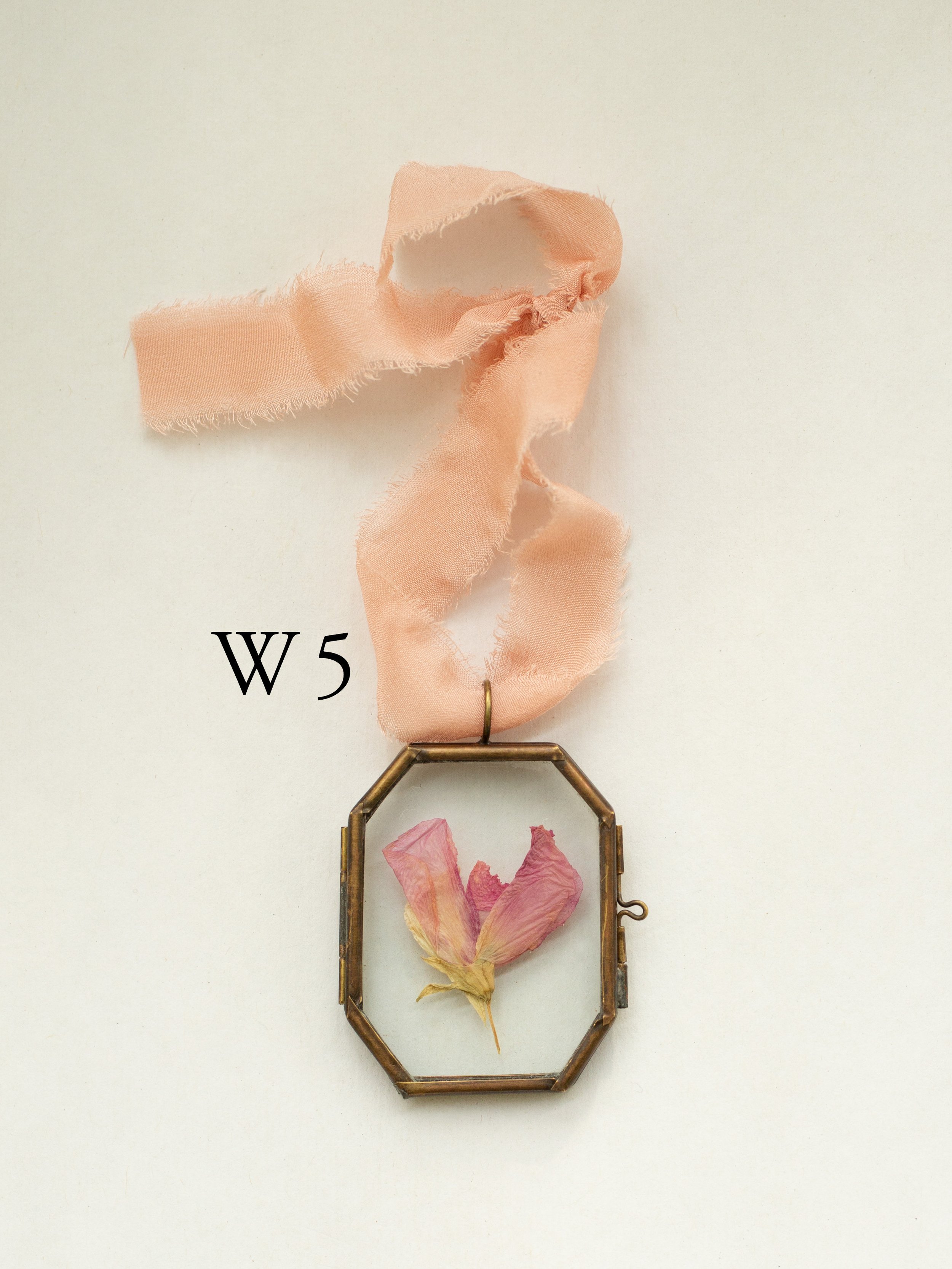 w5.jpg