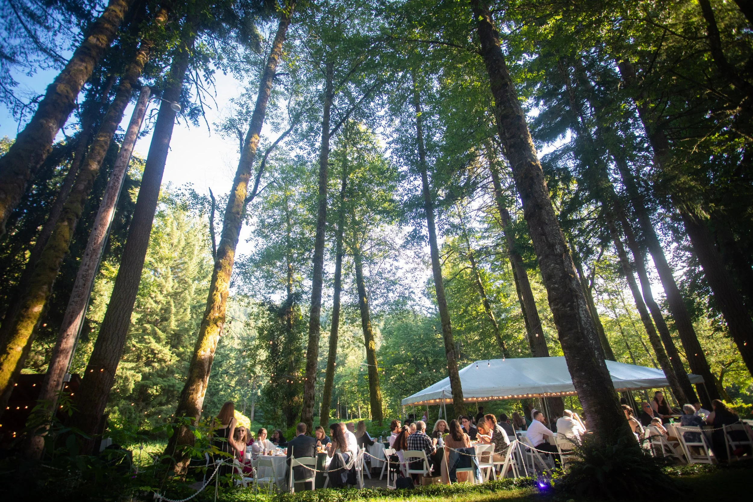 Bridal_Veil_Lakes_Wedding_Photography_Corbett_Oregon_True_Color_Photography_Gorge_Weddings_Mushroom_Wedding_Photos0106.jpg
