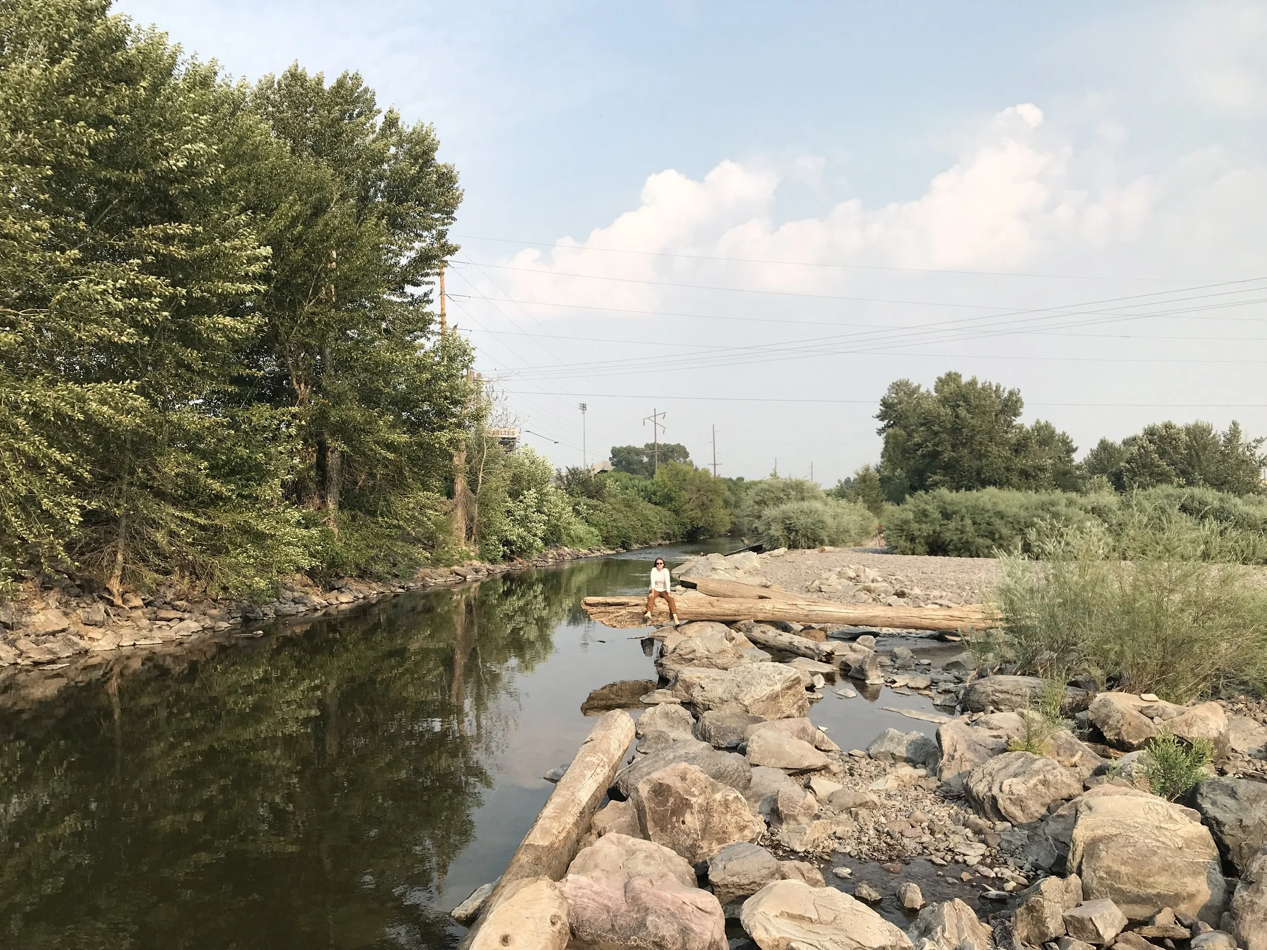 Zero to Five Case Study for Headwaters Foundation