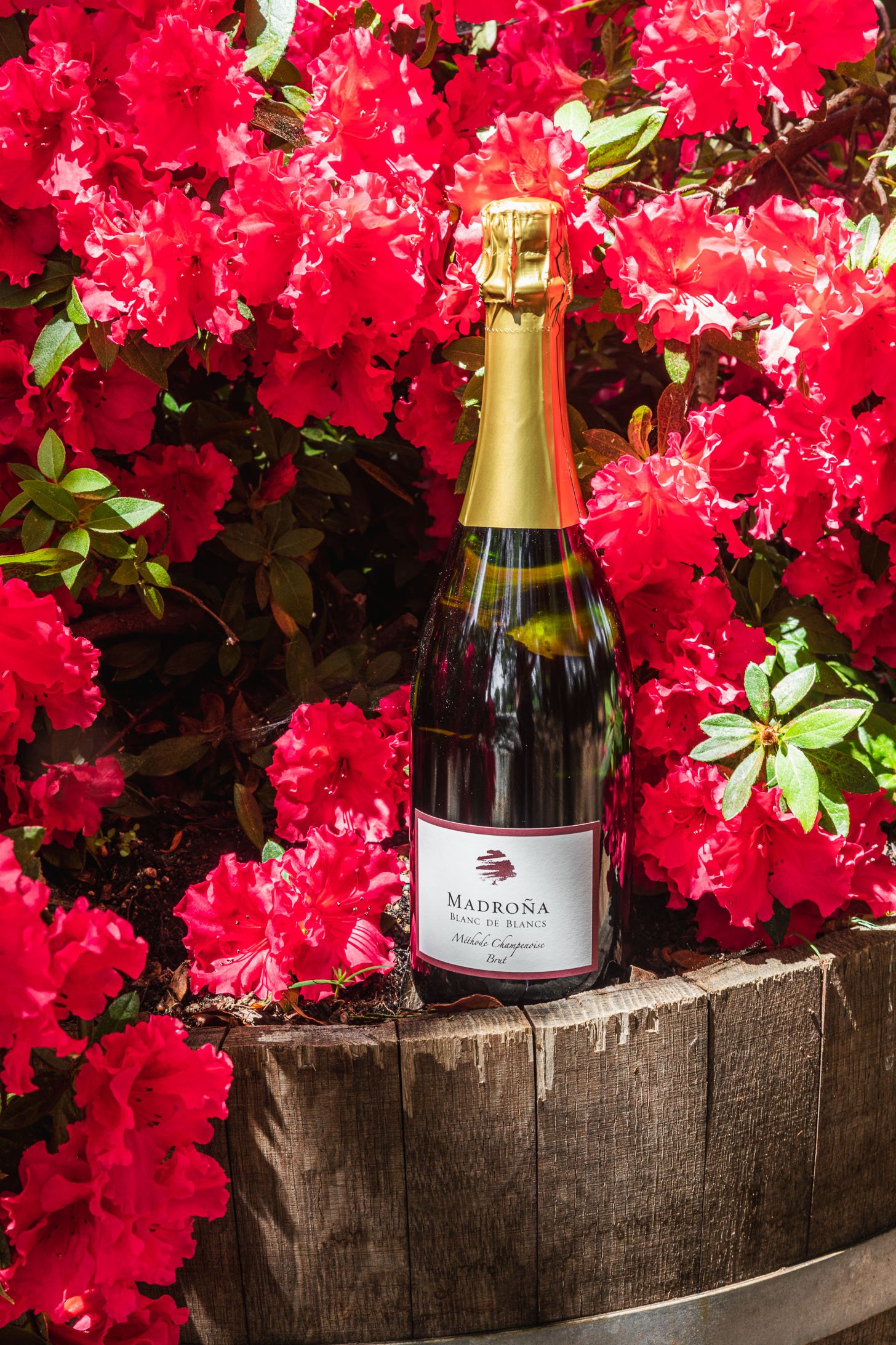 winery-marketing-wind-industry-marketing-agency-ca.jpg