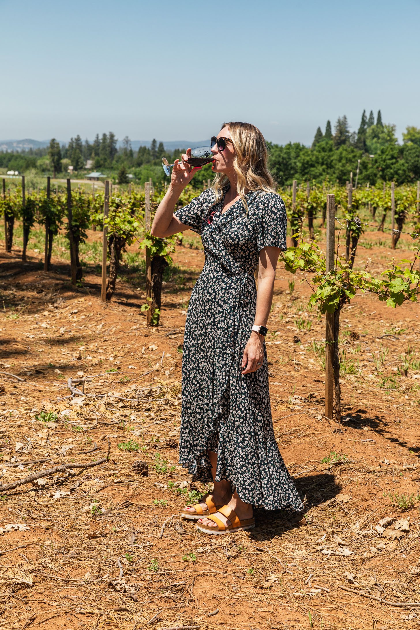 women-owned-winery-marketing-agency-ca-2.jpg