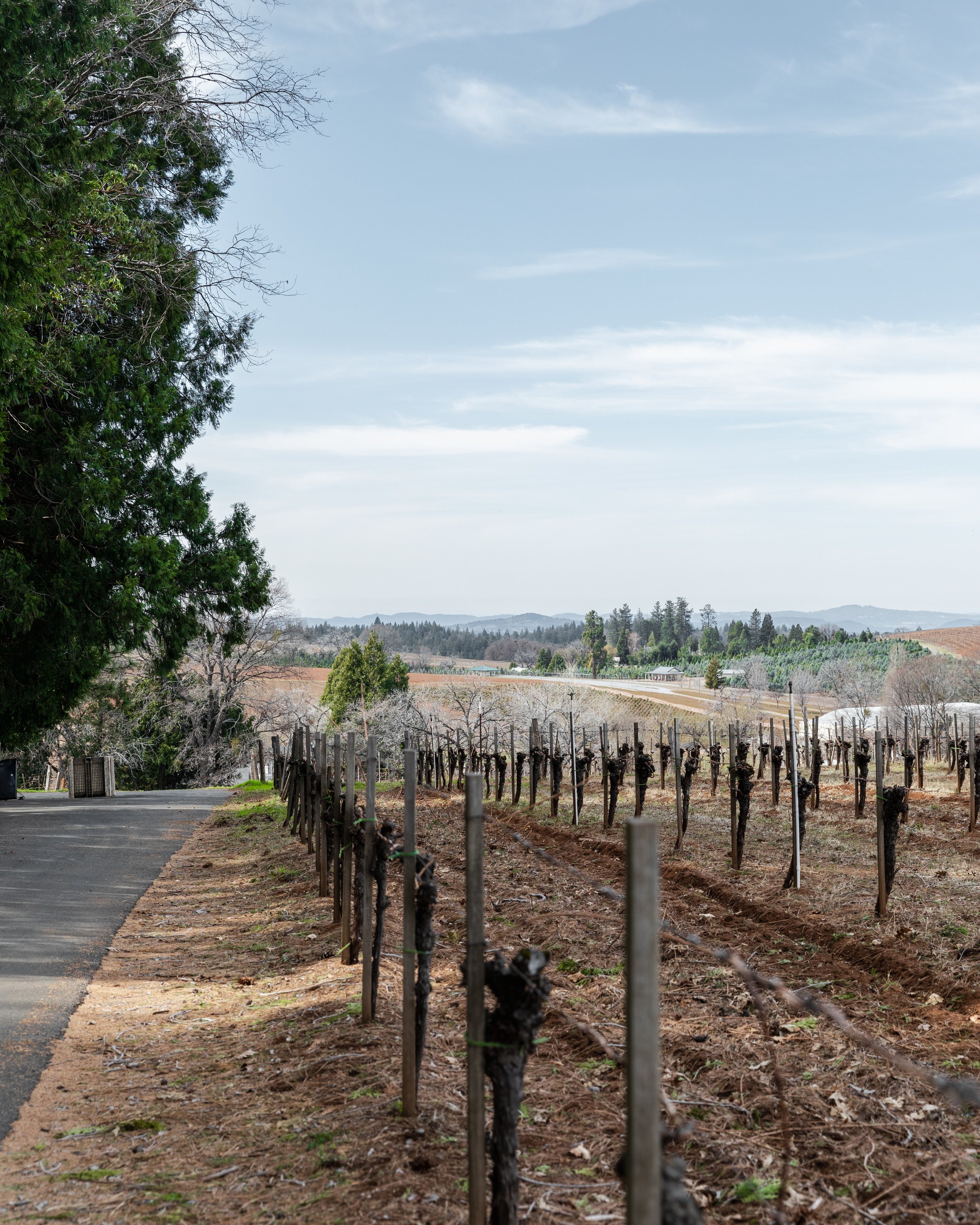 winery-marketing-agency.jpg