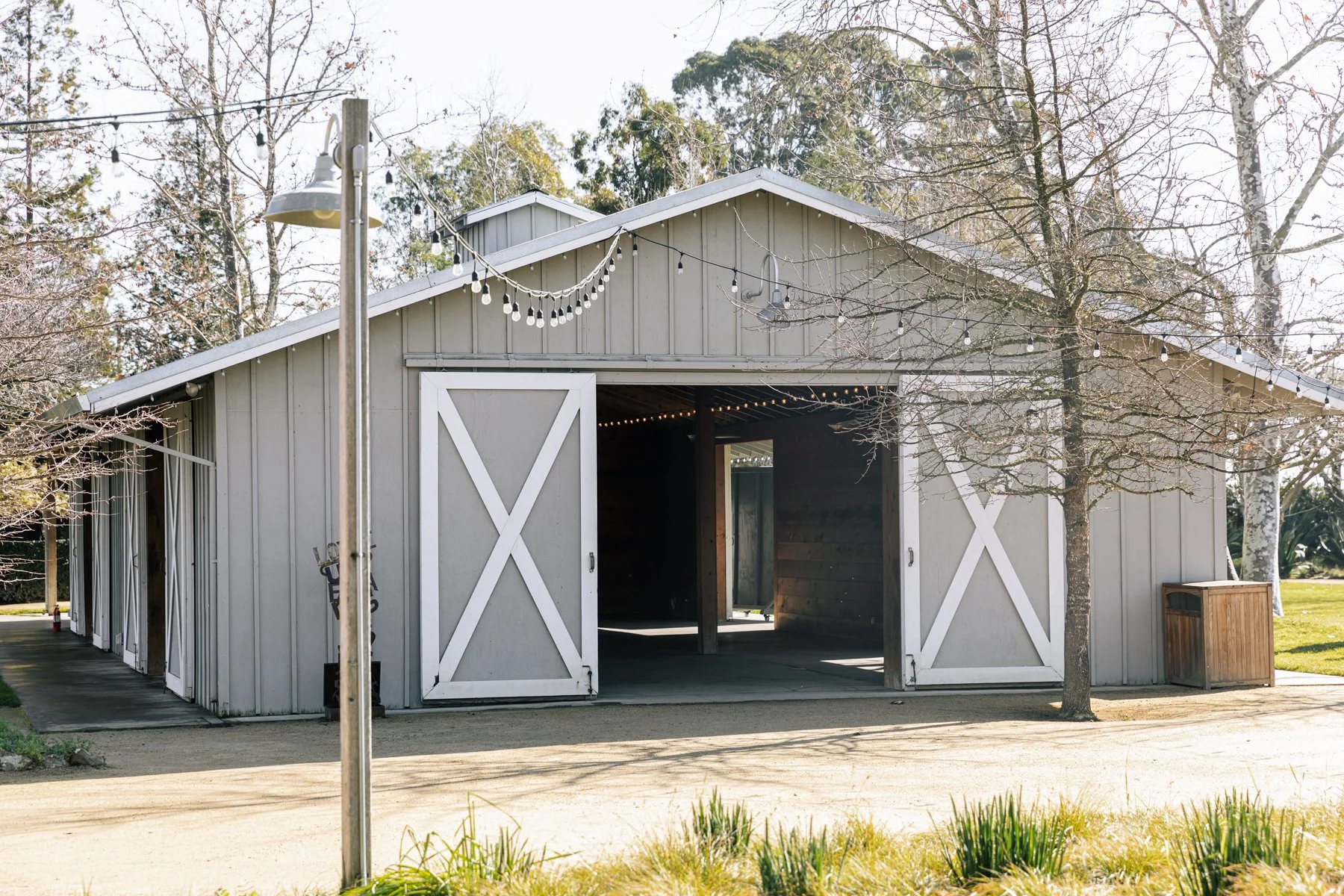 sonoma-wine-industry-marketing-sonoma-ca-2.jpg