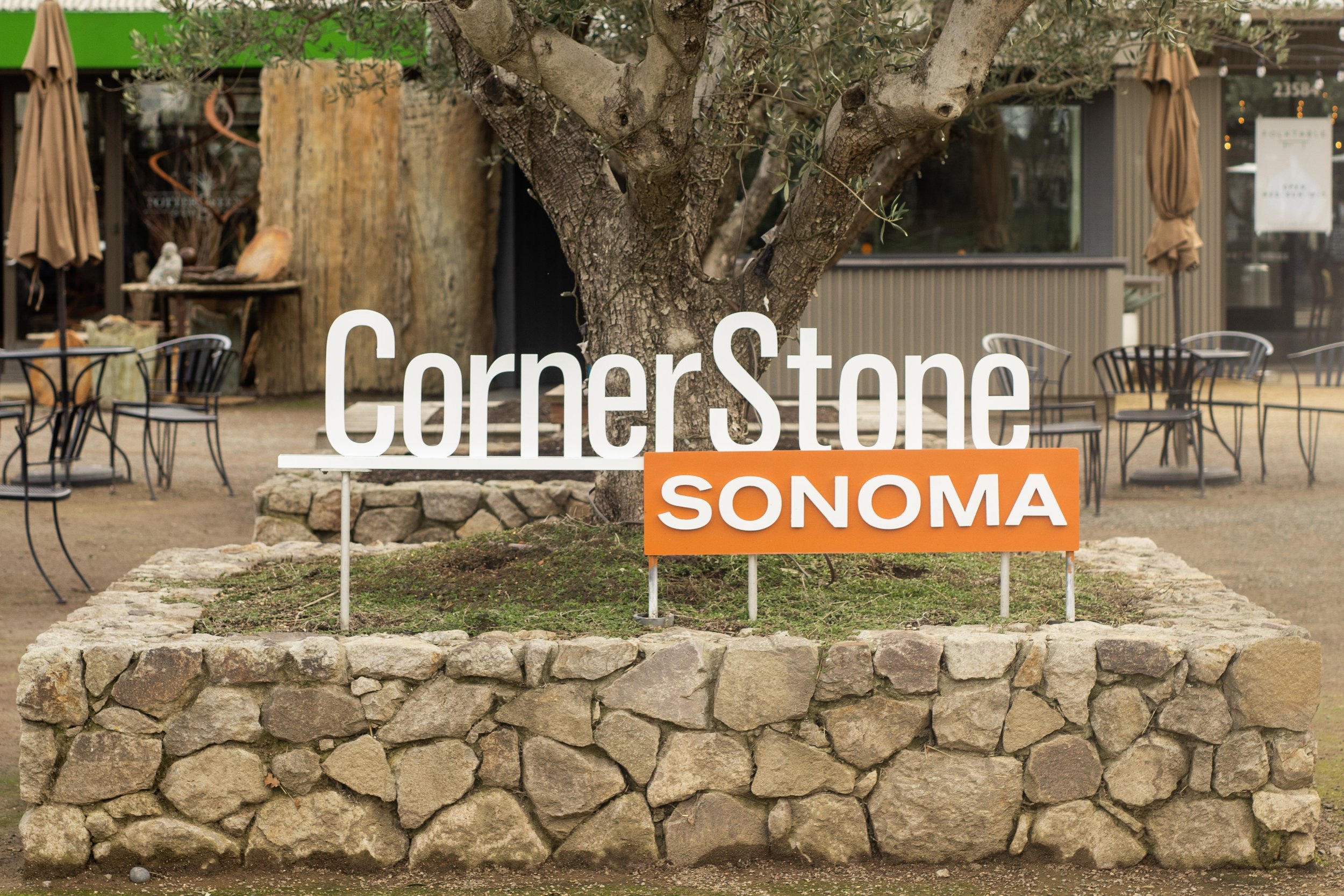 sonoma-wine-industry-marketing-sonoma-ca-5.jpg