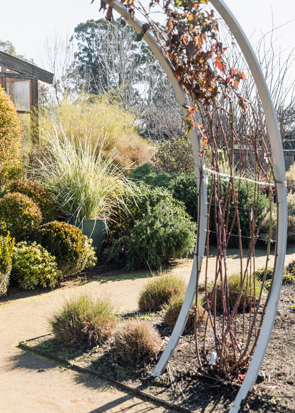 sonoma-wine-industry-marketing-sonoma-ca.jpg
