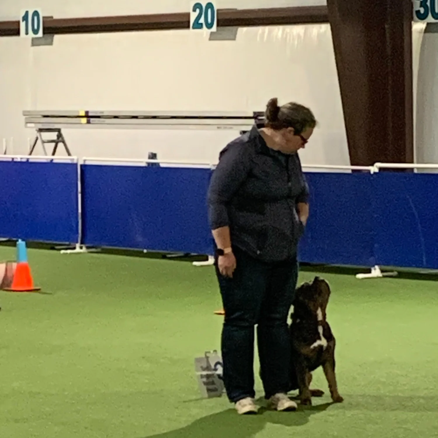 Ukc Rally Novice Course UKC Rally Obedience — High Tails