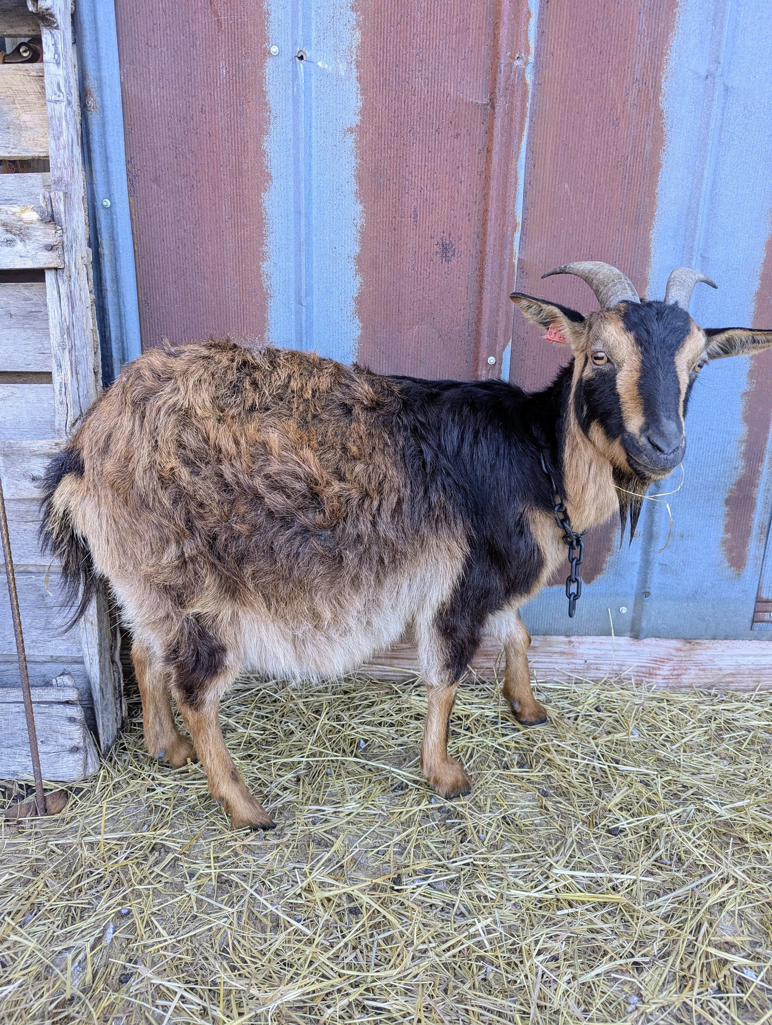 February 2026 Roundup