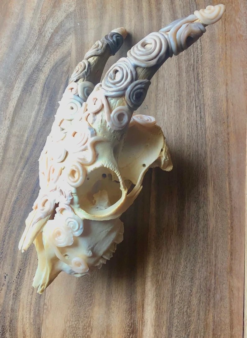 polymer clay art, goat skull, goat skull polymer clay, clay art, polymer clay