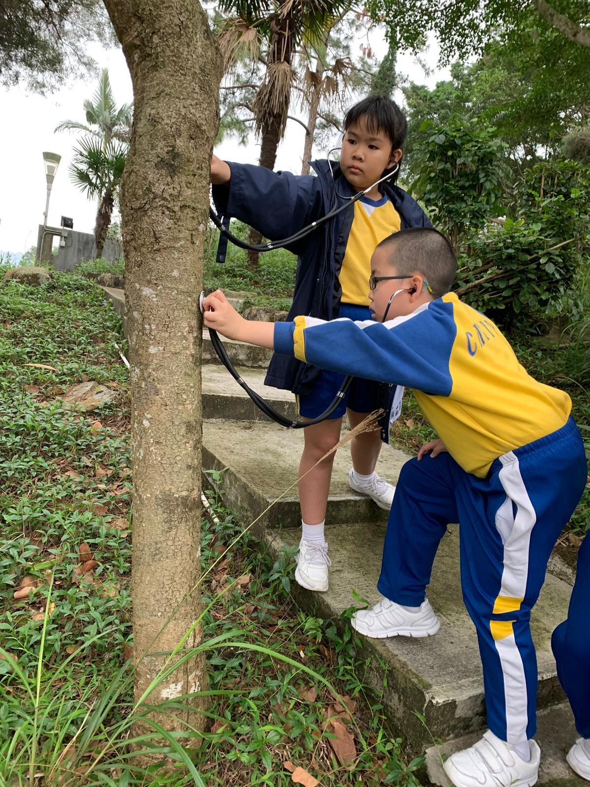 2019-04-15 18.04 (1).jpg