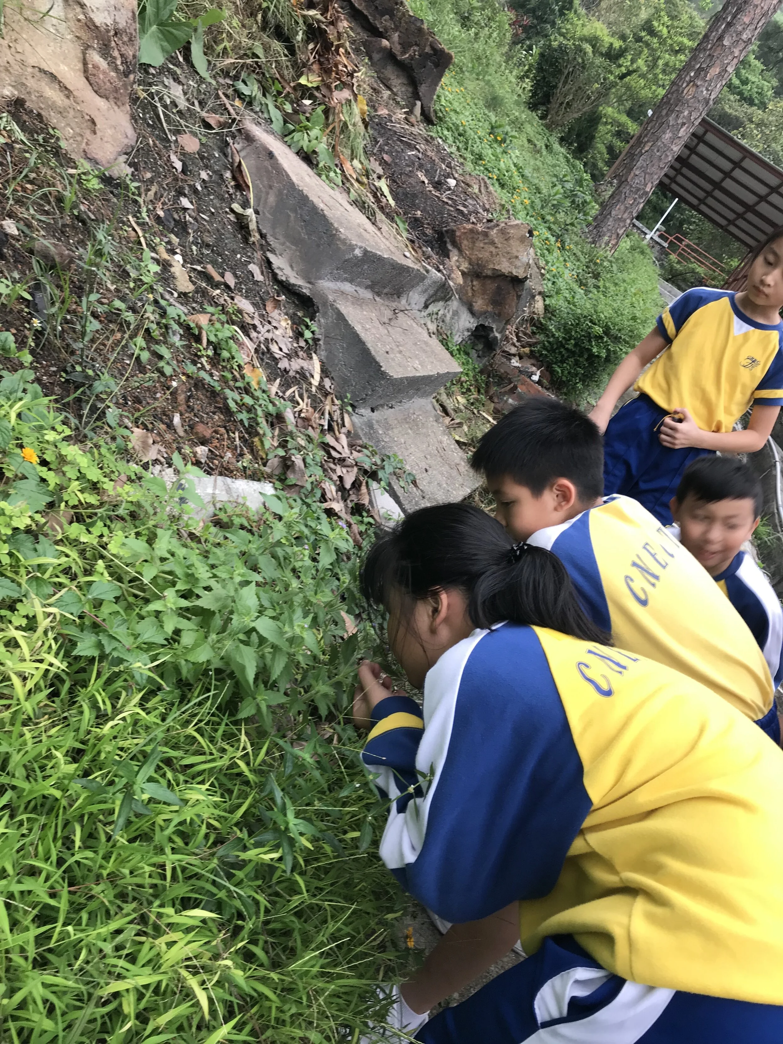 2019-04-15 16.20.22.jpeg