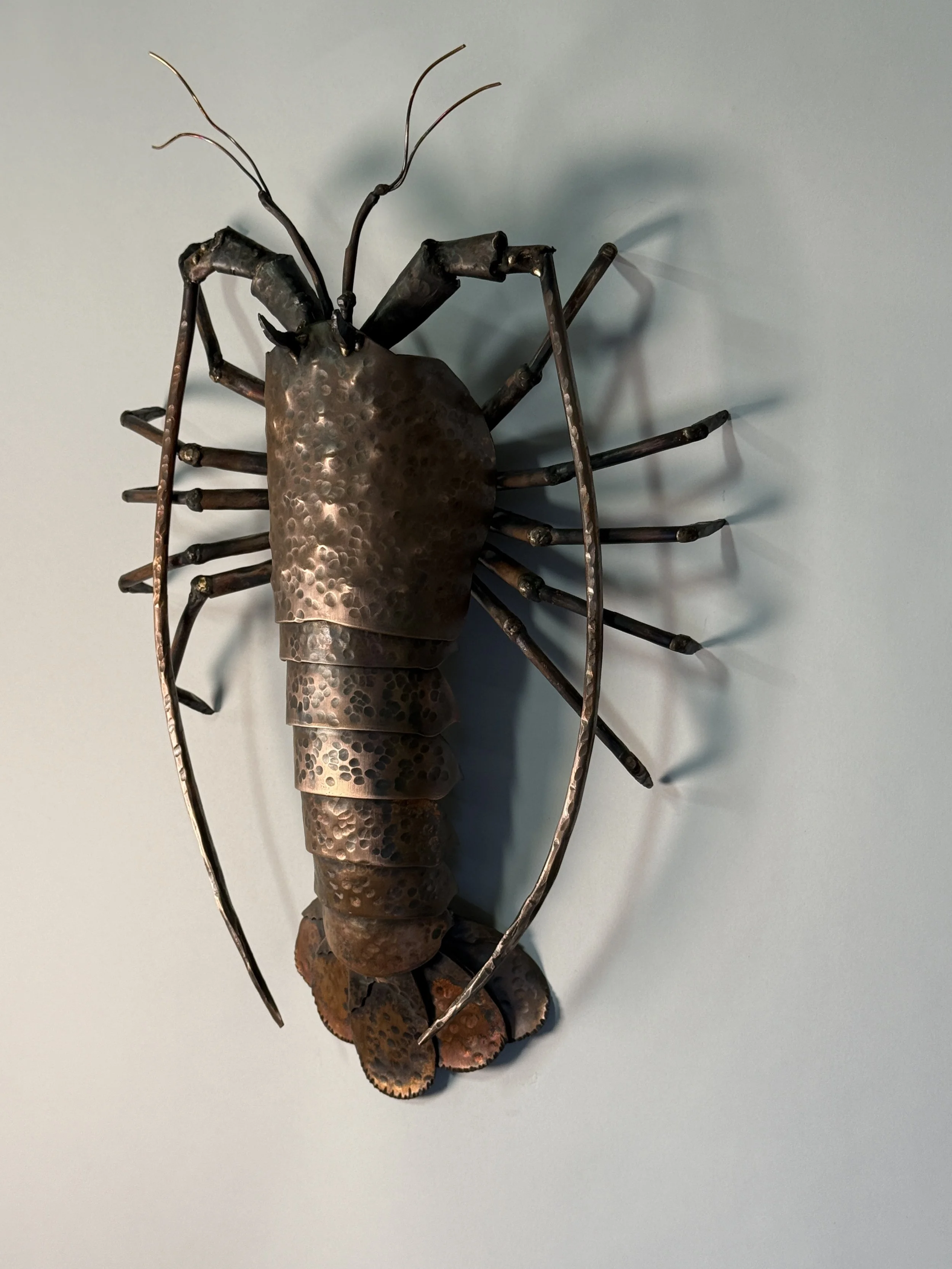 Copper Spiny