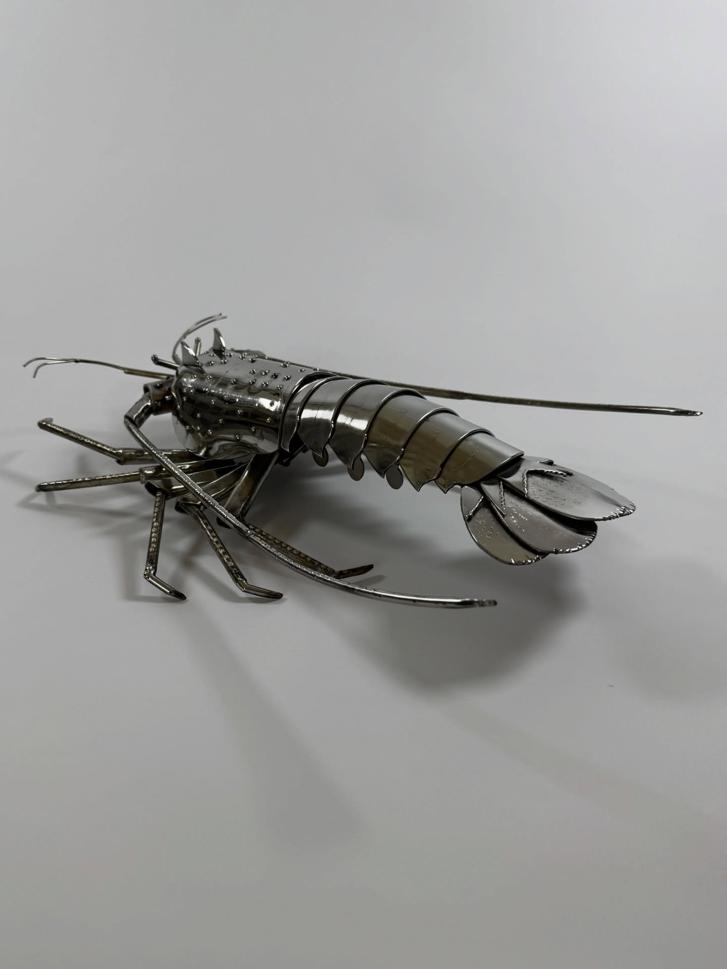 Marine grade crustacean on the crawl! A fitting material for an ocean dwelling creature. Both thrive in harsh saltwater environments, with adaptations or properties that emphasize protection, resilience, and longevity in the ocean. 

Spiny Lobster
Di