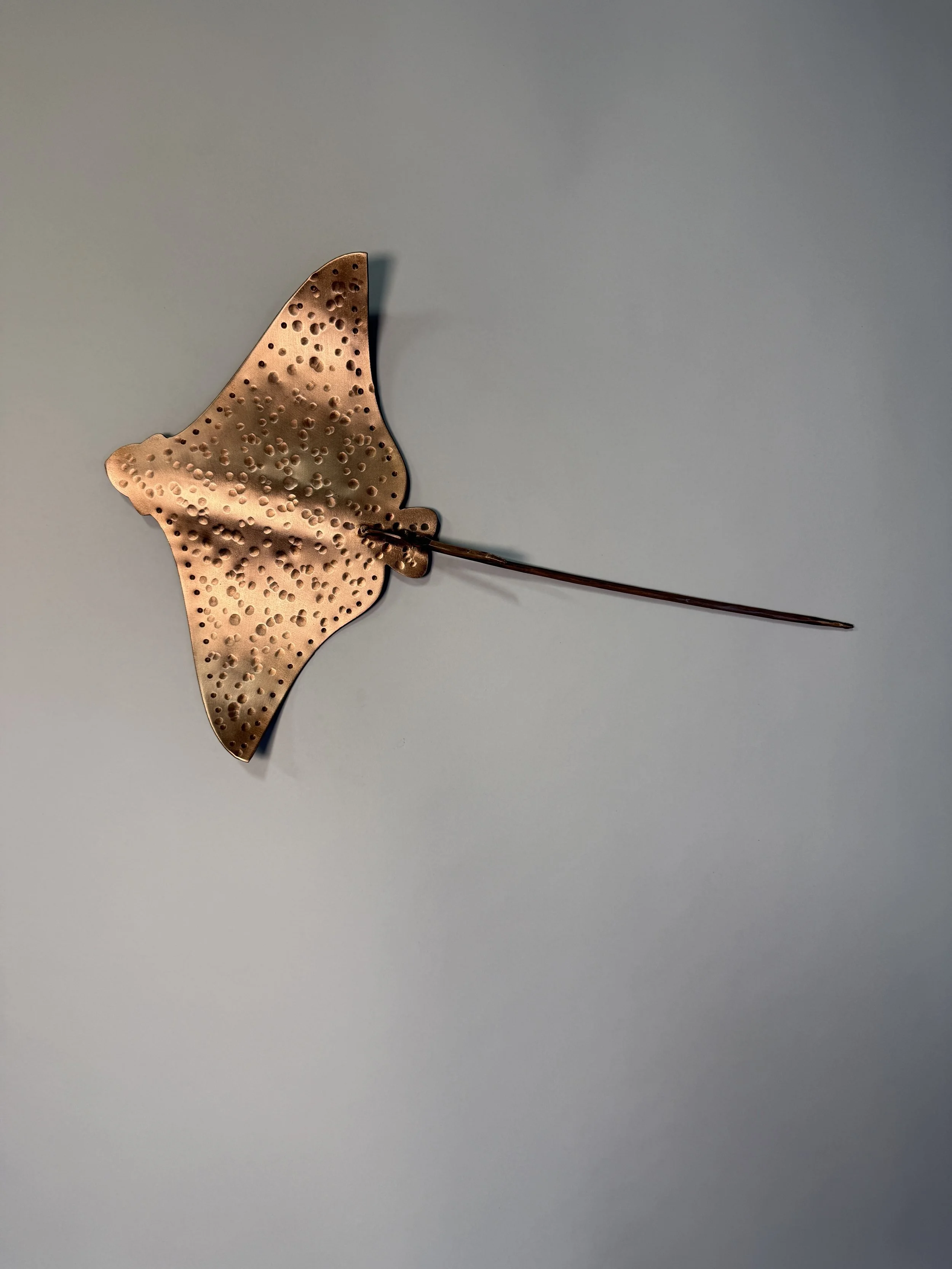 Copper Eagle Ray