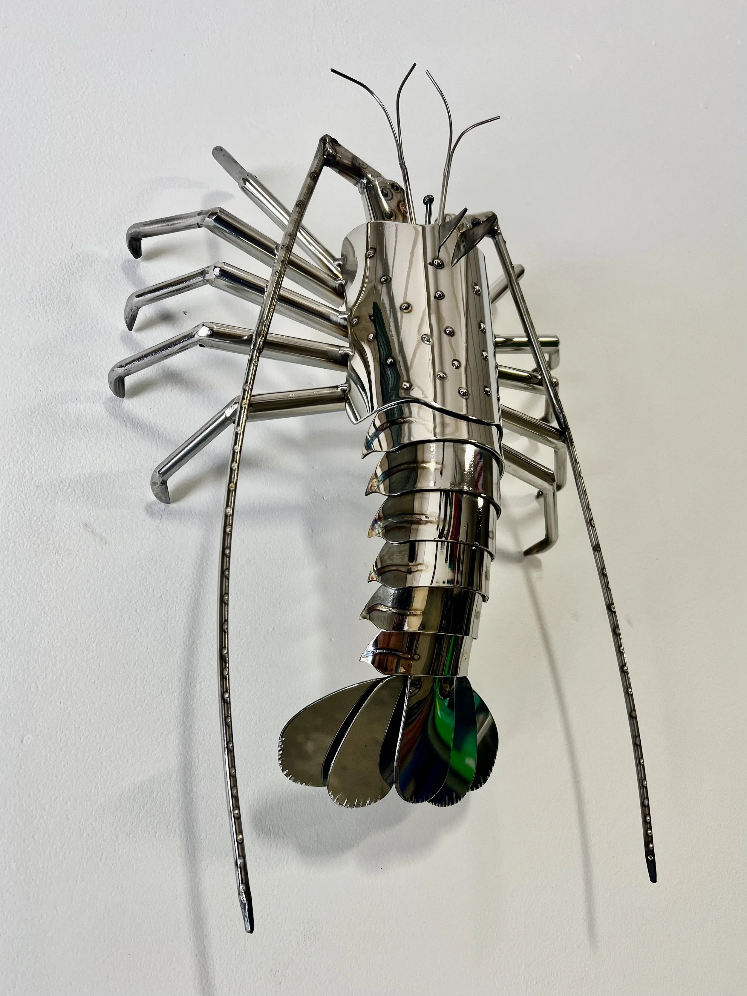 Mirror Spiny Lobster