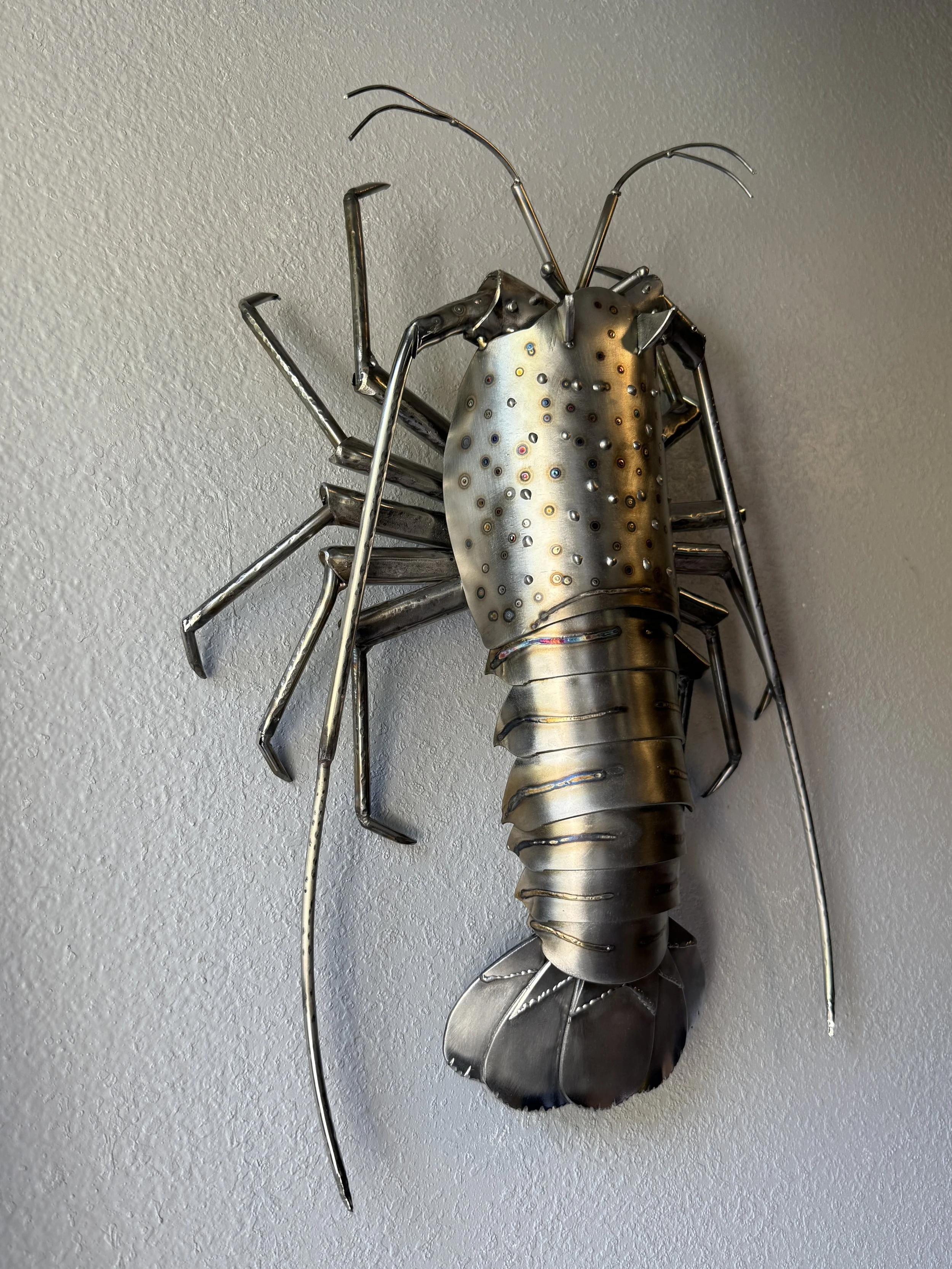 SS Spiny Lobster