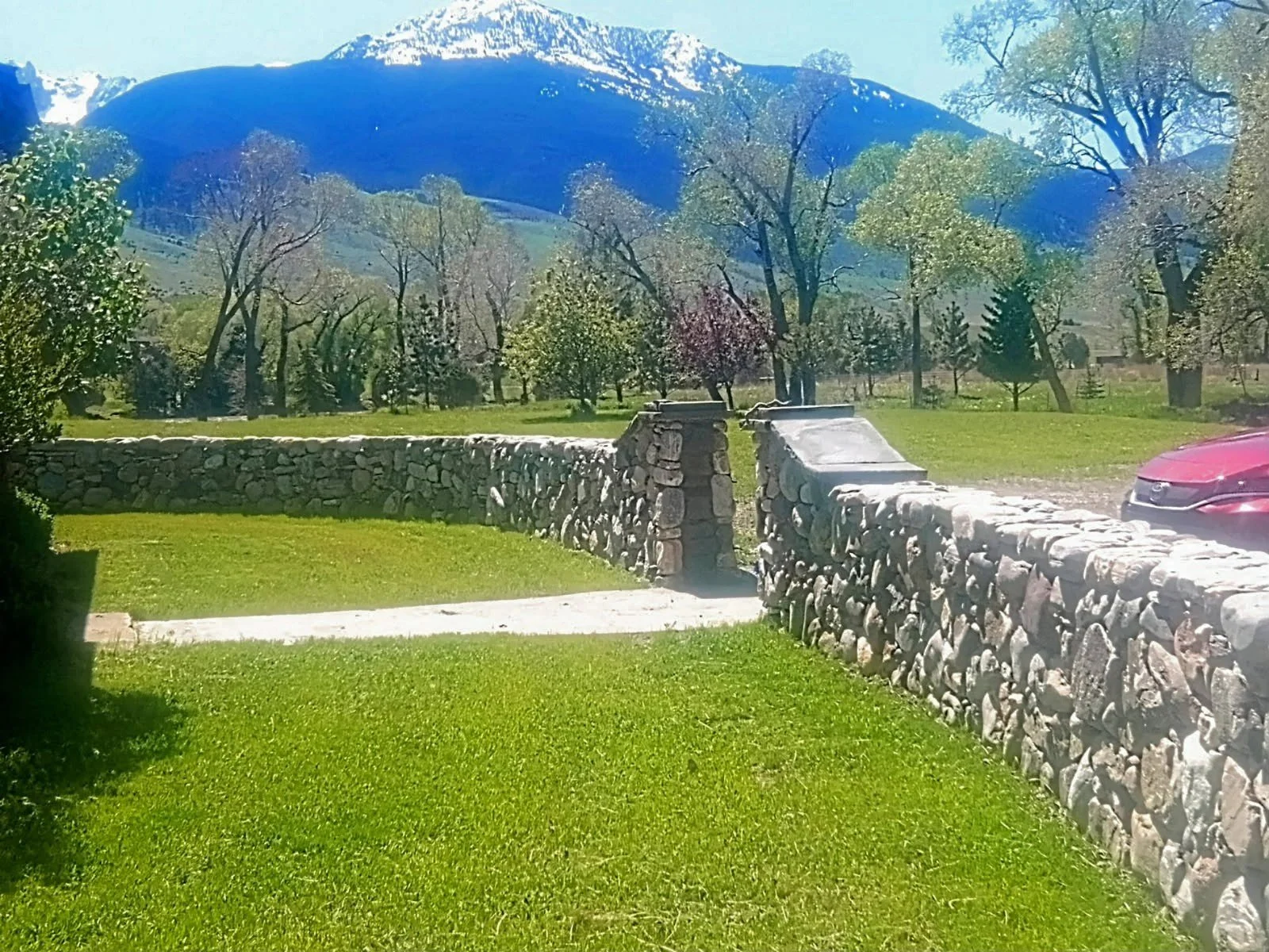 image~2.jpg