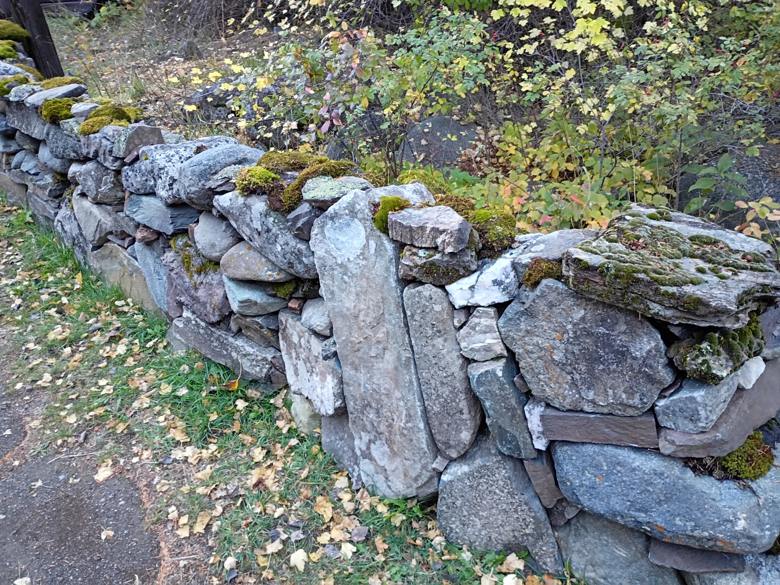 IMG_20251006_173954183_HDR.jpg