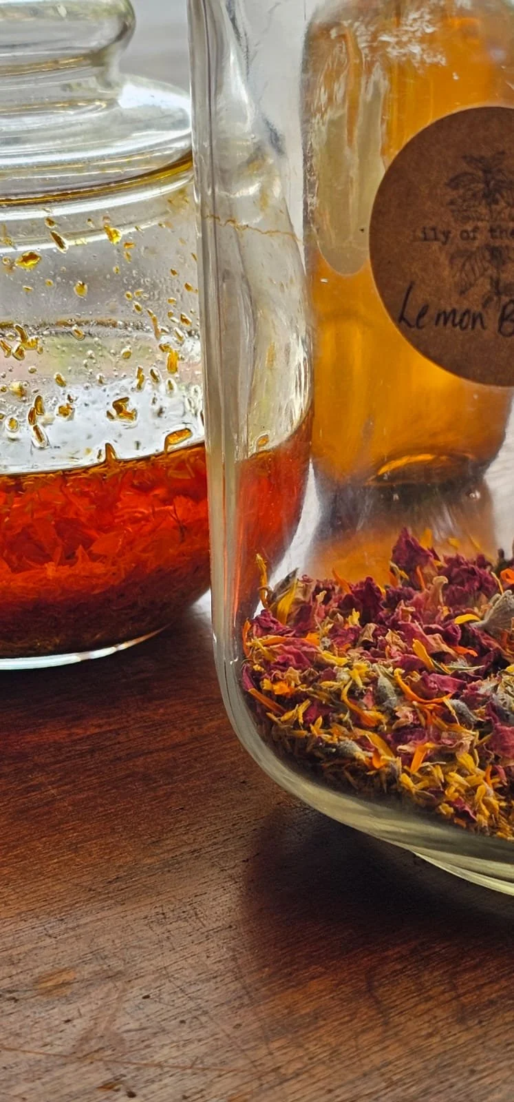 WhatsApp Image 2025-11-14 at 14.09.37_b7289b96.jpg