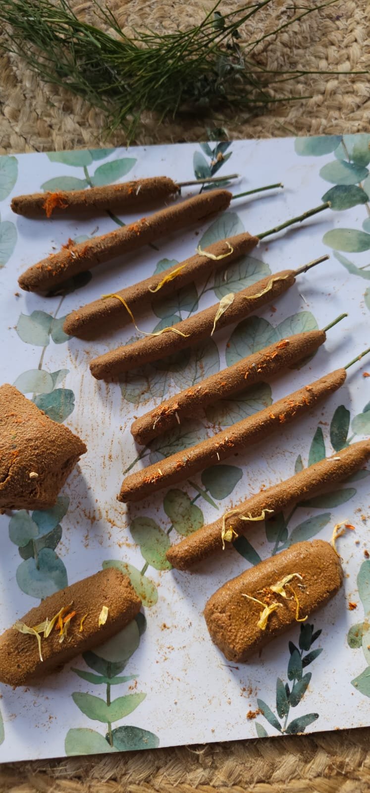 WhatsApp Image 2026-04-03 at 12.24.34 PM.jpeg