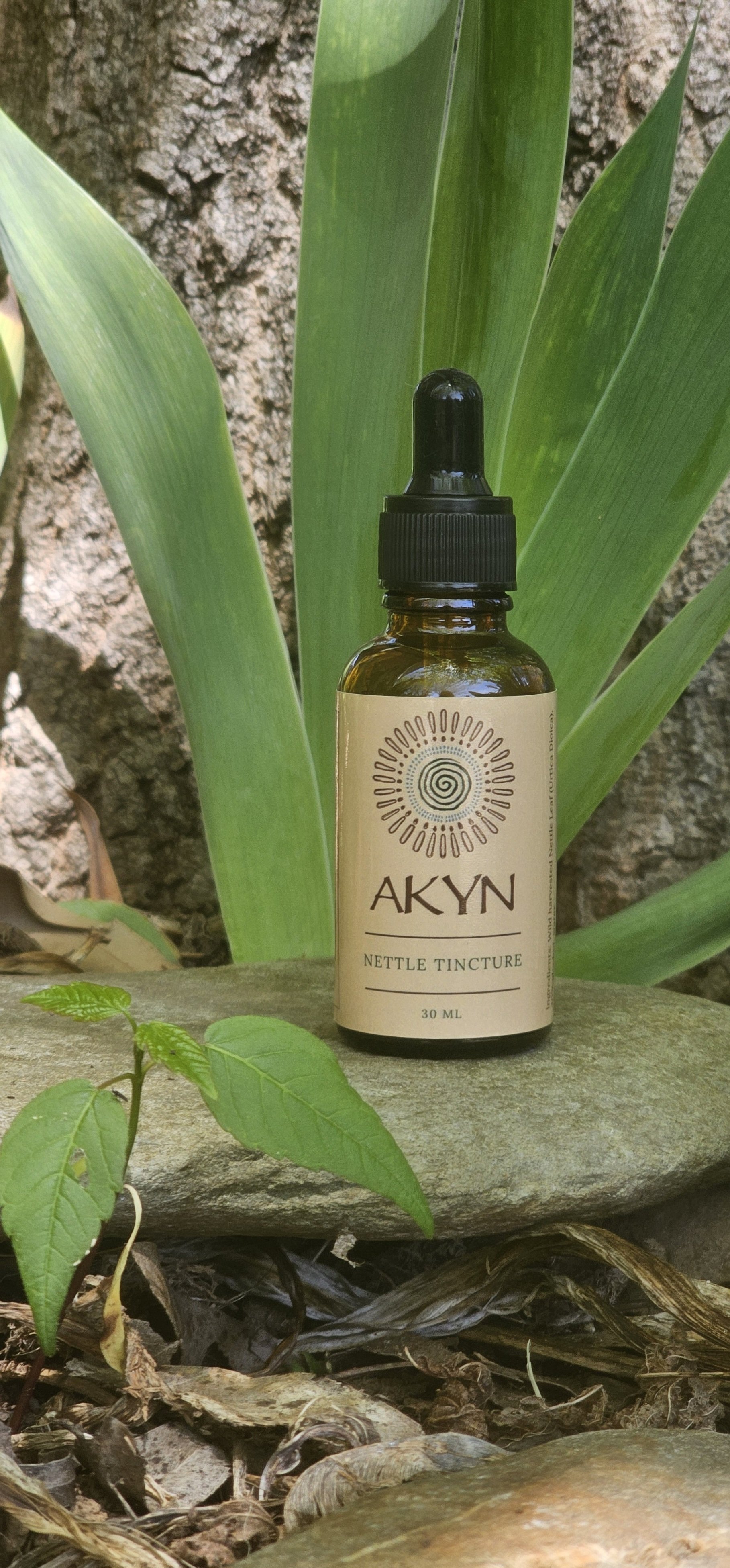 Nettle tincture.jpg