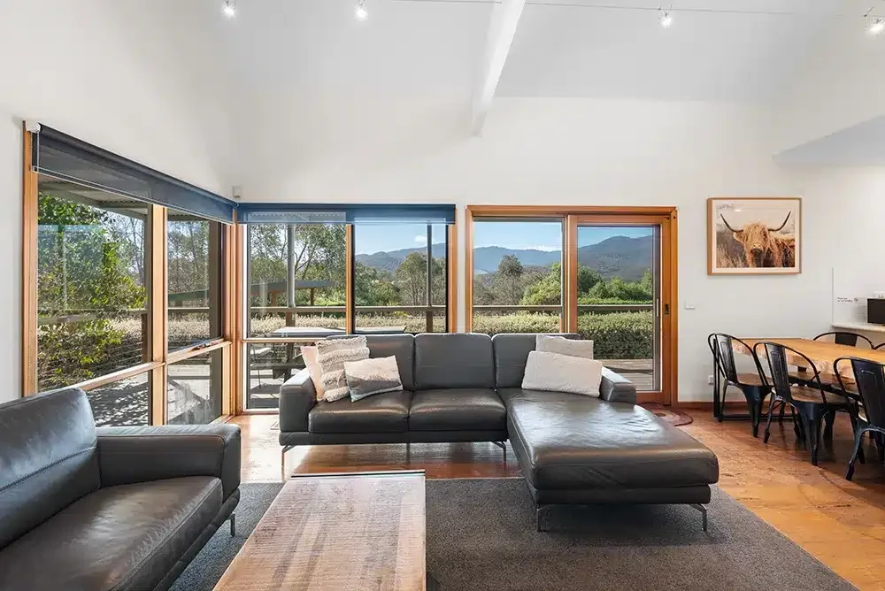 buffalo lounge view.webp