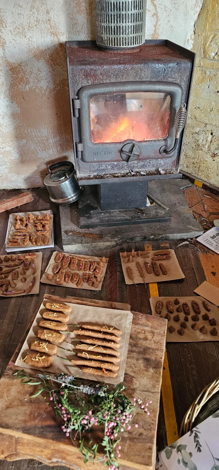 WhatsApp Image 2026-04-03 at 12.24.02 PM.jpeg