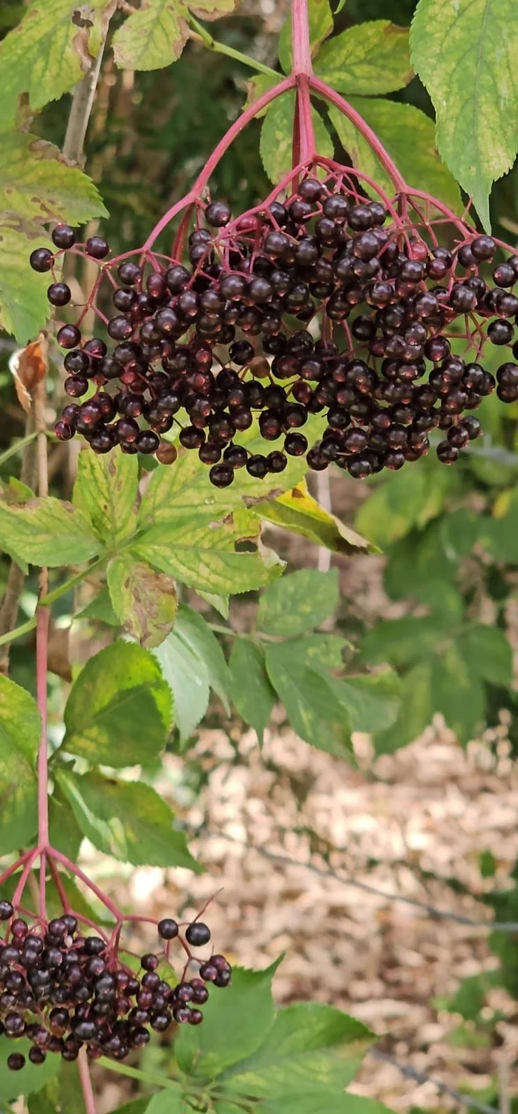 WhatsApp Image 2026-04-20 at 3.22.38 PM.jpeg