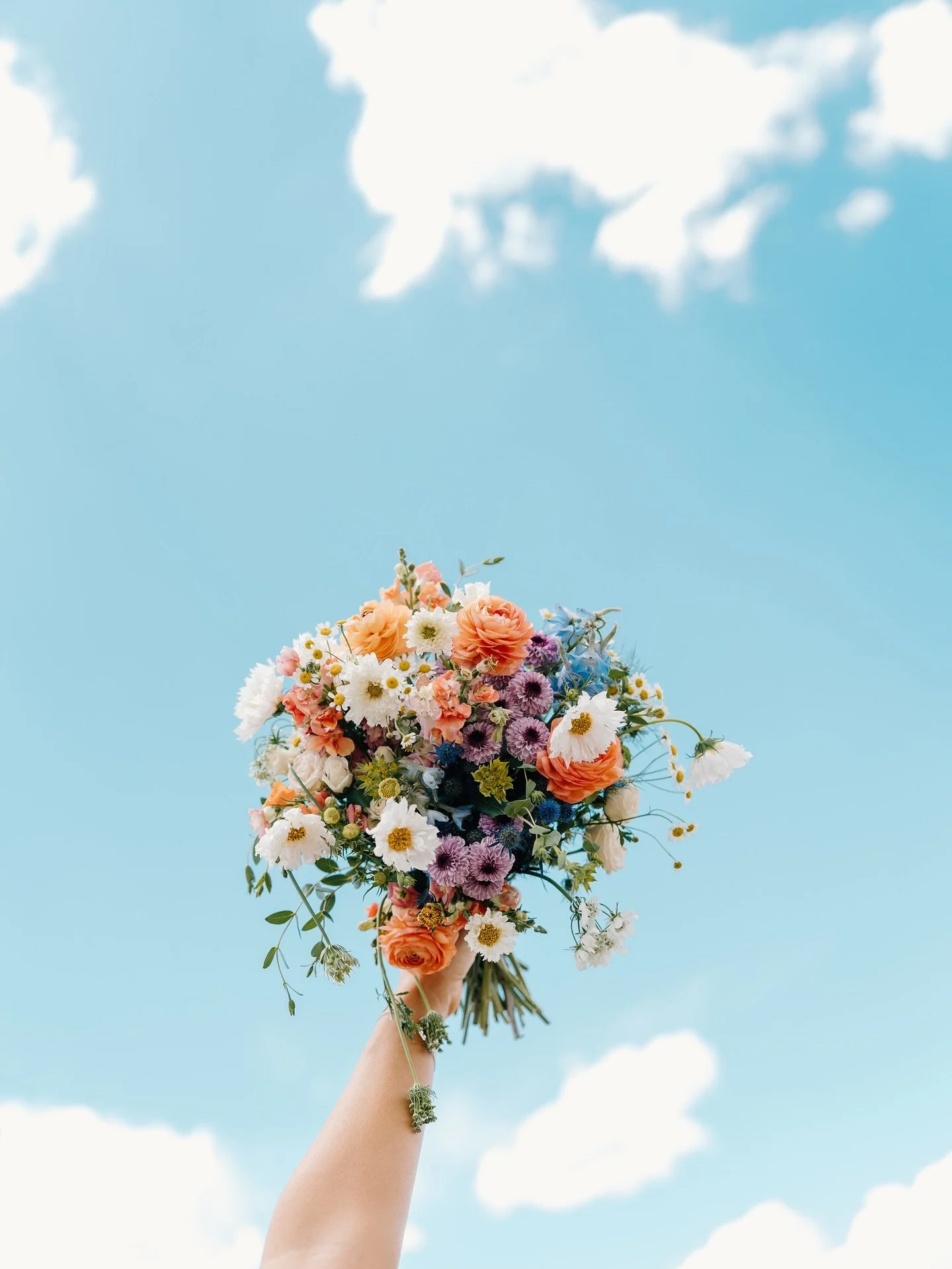 So many beautiful weddings recently, so many more to go in the next month, and all I can think about in this moment are N&amp;E&rsquo;s vibrant colors. These photos transport me back to July and feel like a breath of fresh air!

Excited to share so m
