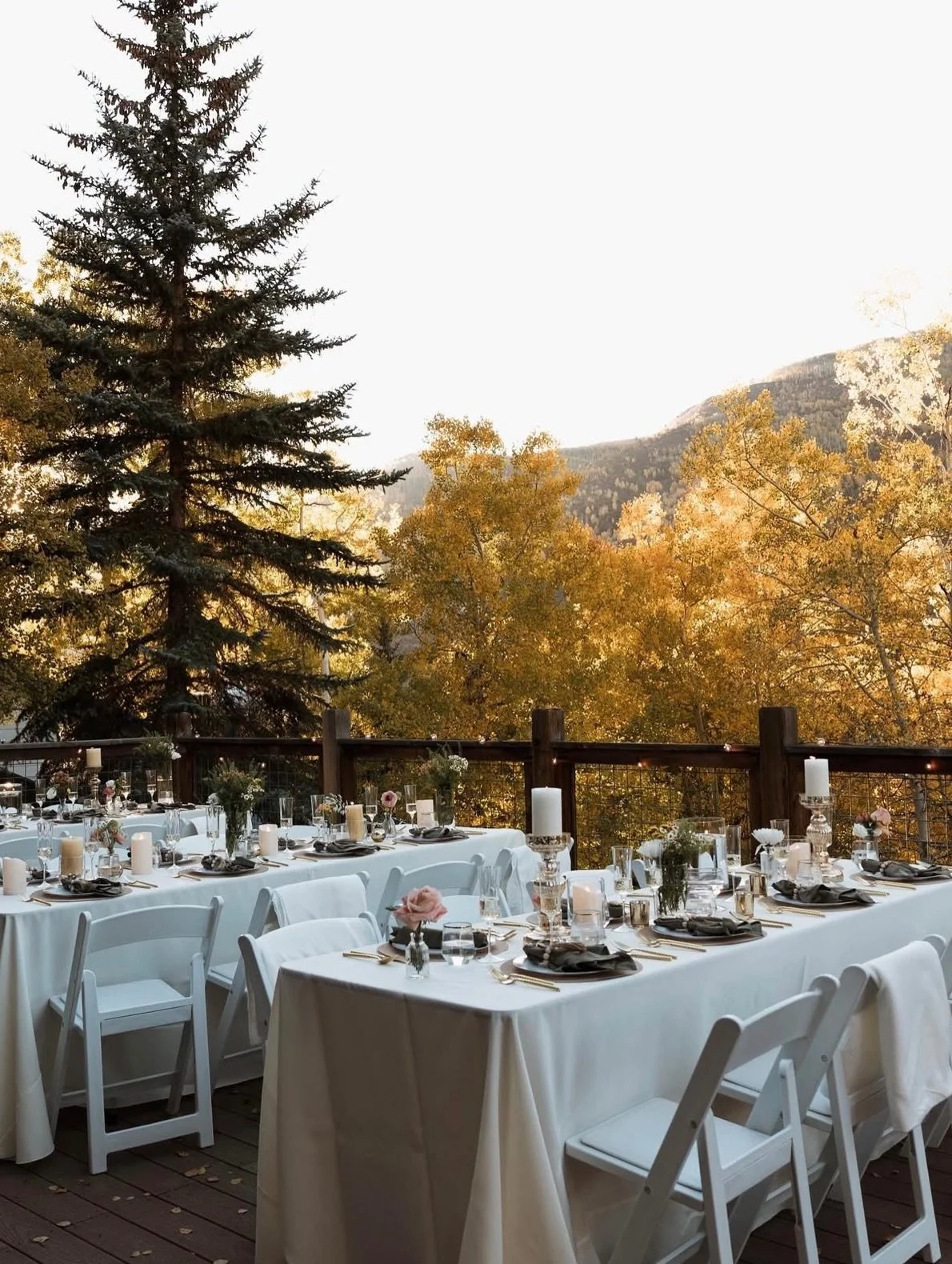 An intimate dinner party after a stunning ceremony. I can&rsquo;t think of a better way to spend the evening with your closest family and friends.

Photography: @sammijo.photoco
Planning &amp; coordination: @withgraceplanning
Private chef: @grazeandt
