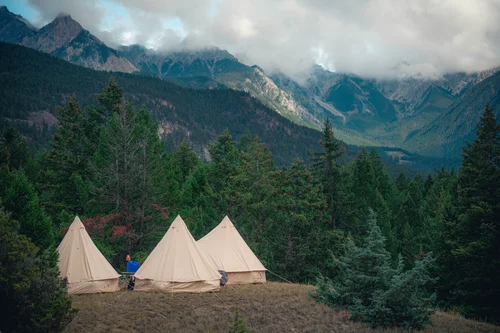 Camping and glamping at Wicked Woods