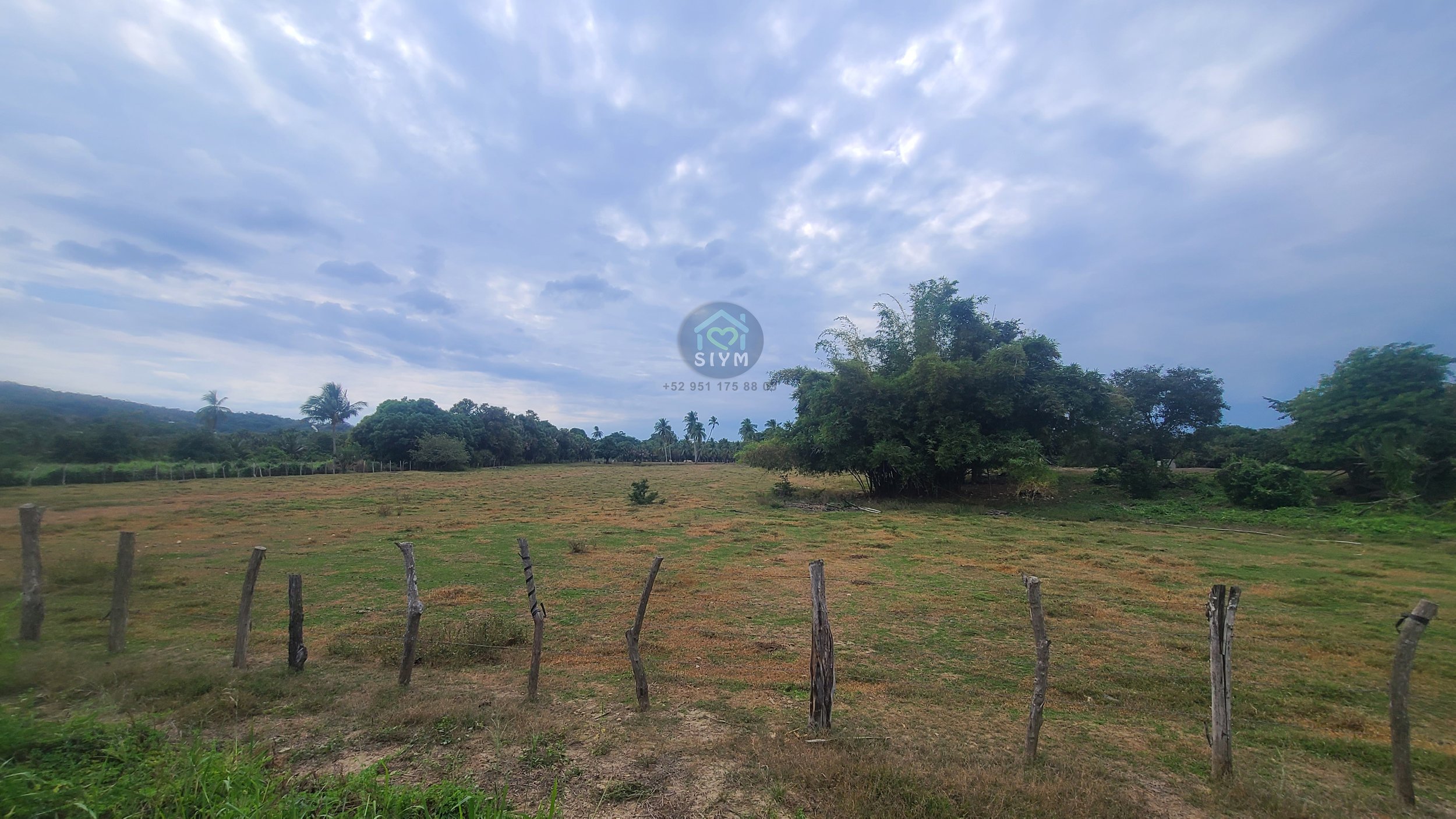 Outside 07.jpg