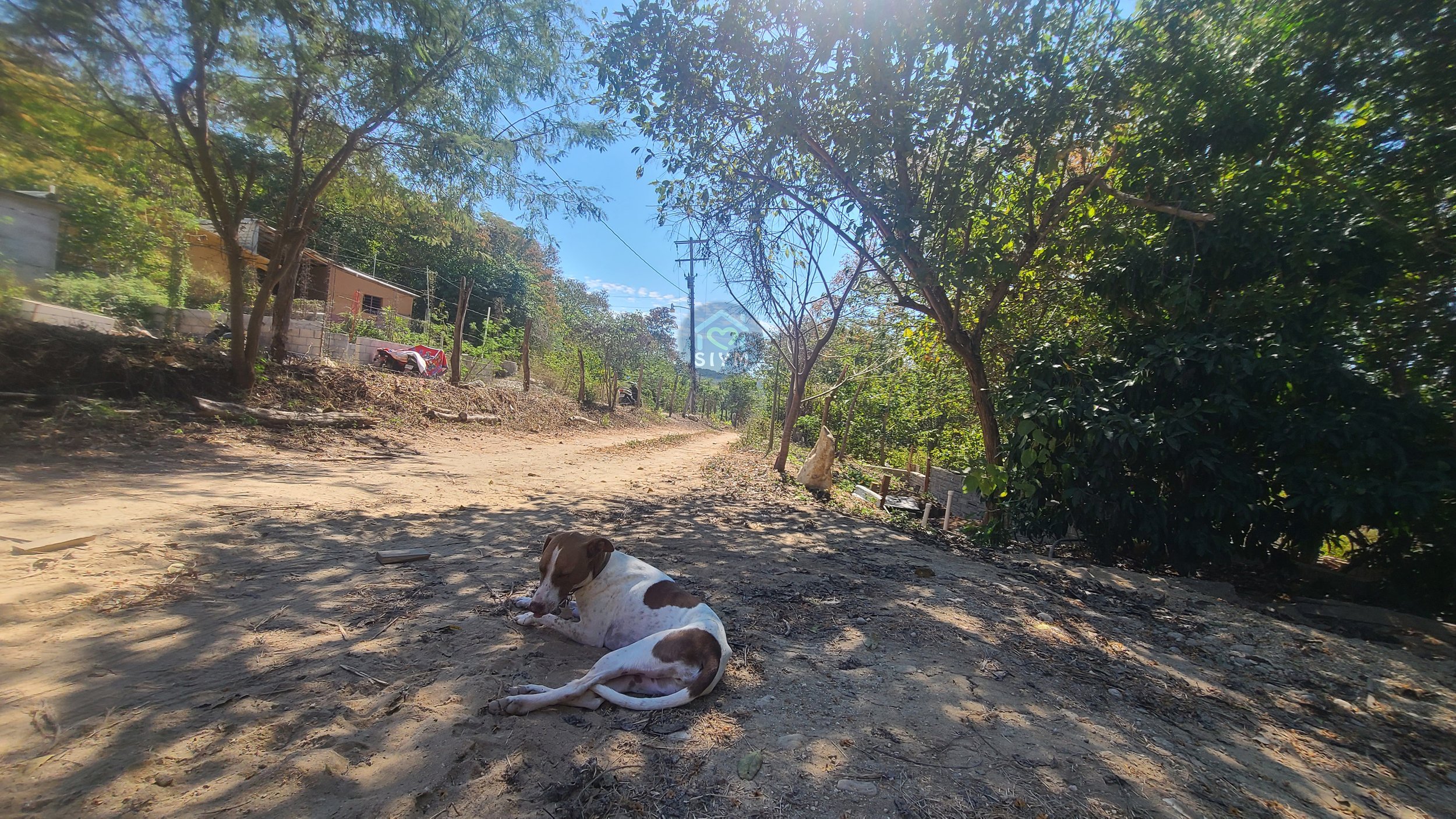 Outside 11.jpg